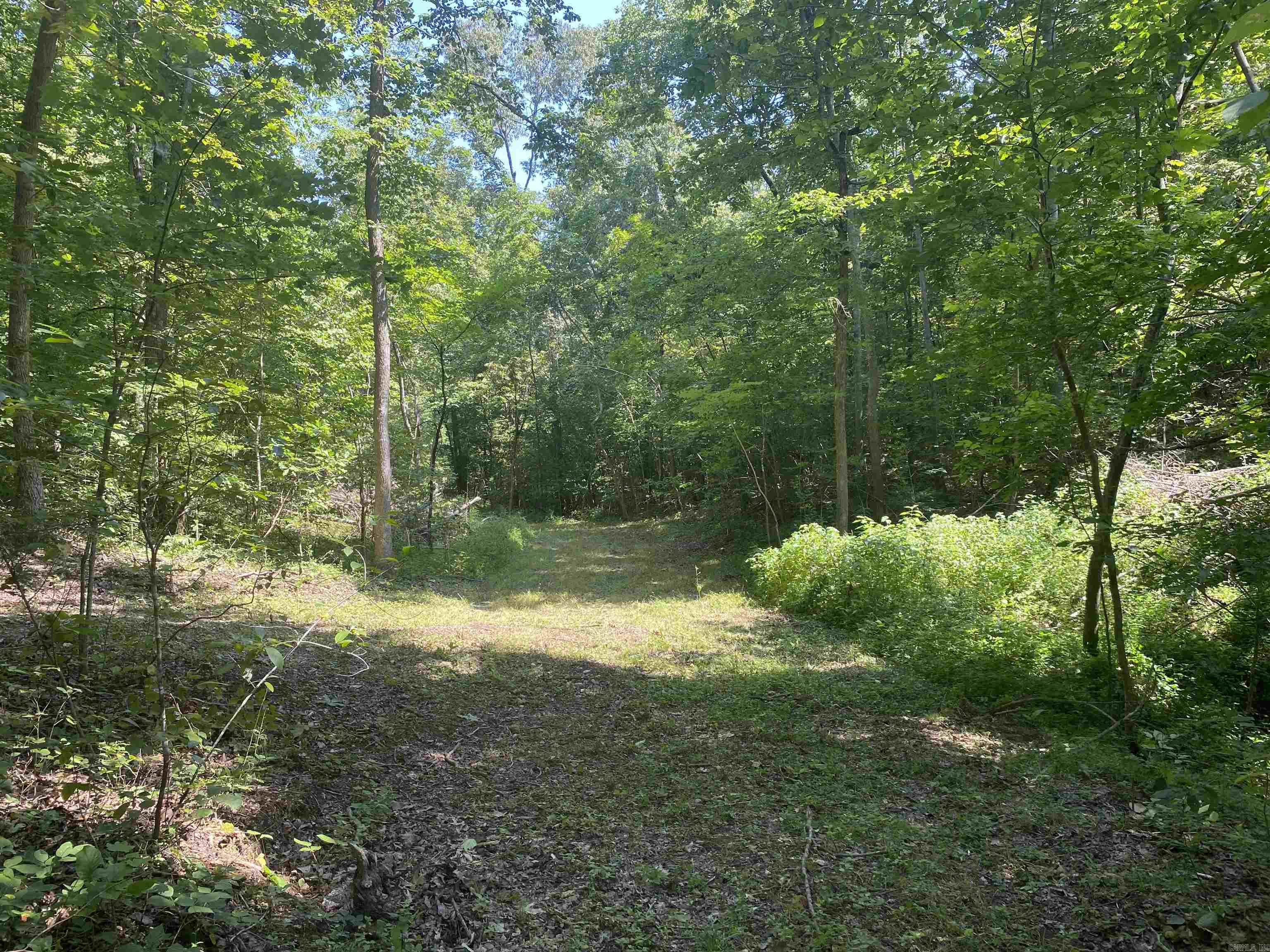 000  Minick Road  Mountain View, AR