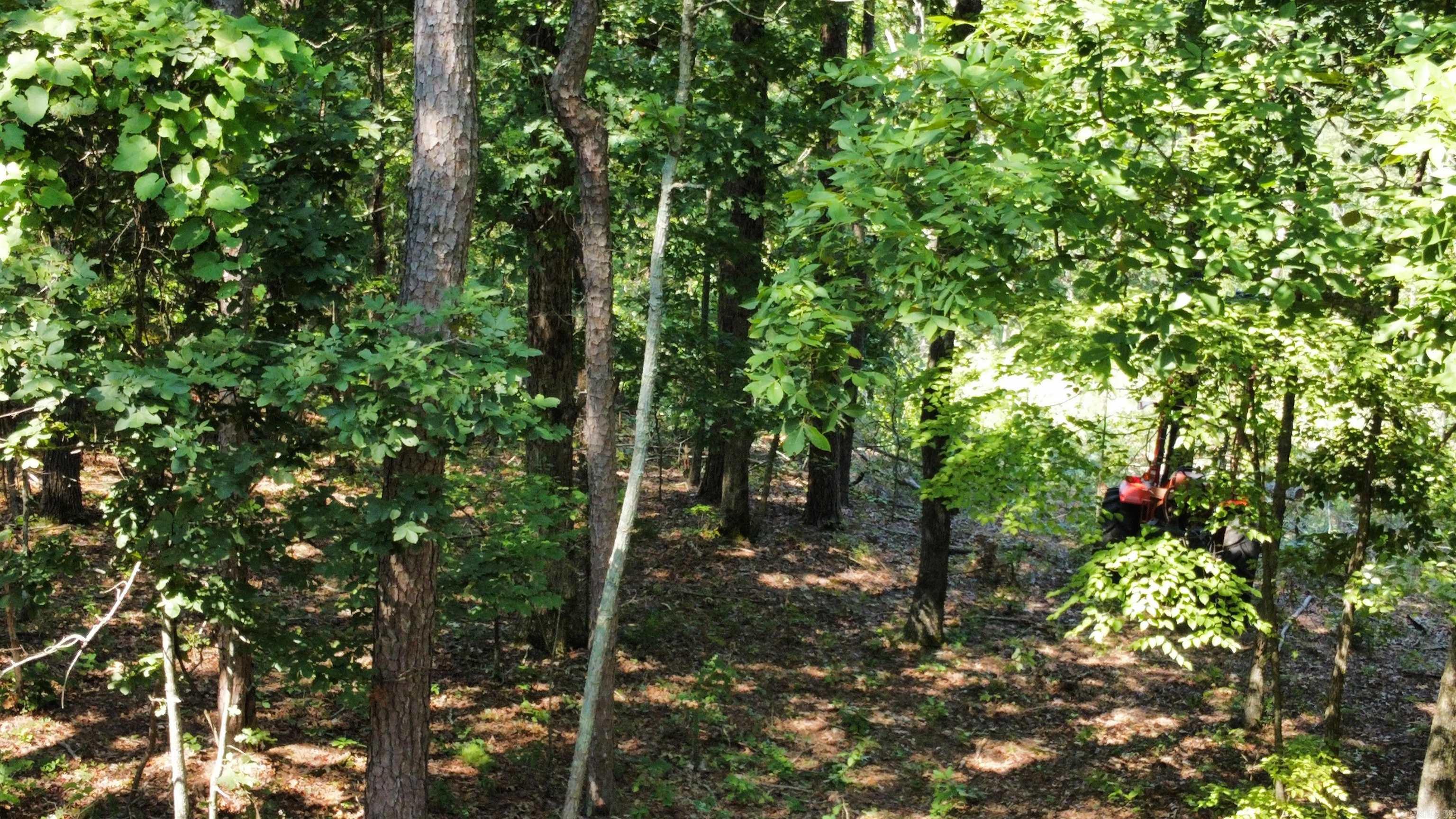 000  Minick Road  Mountain View, AR