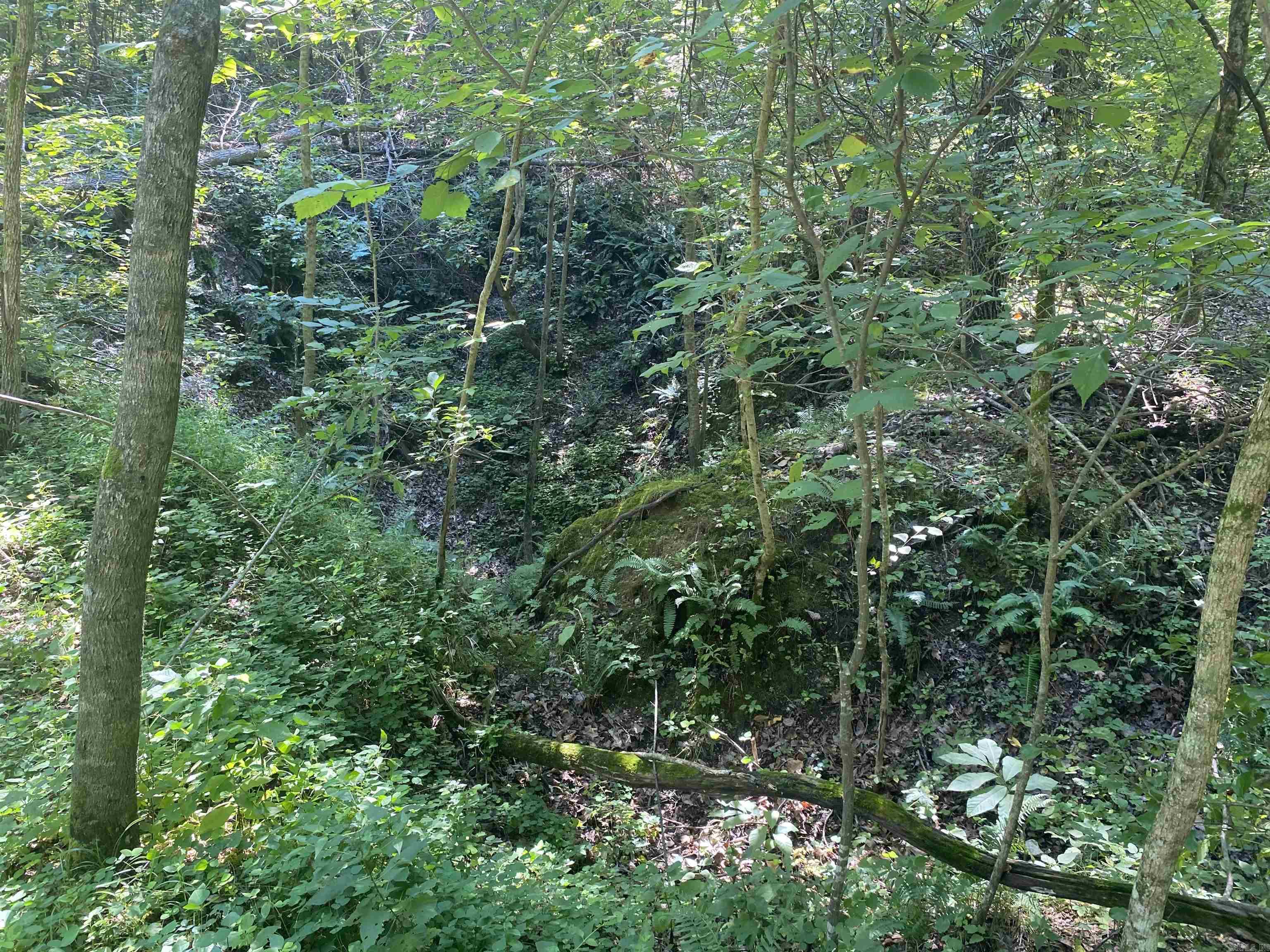 000  Minick Road  Mountain View, AR