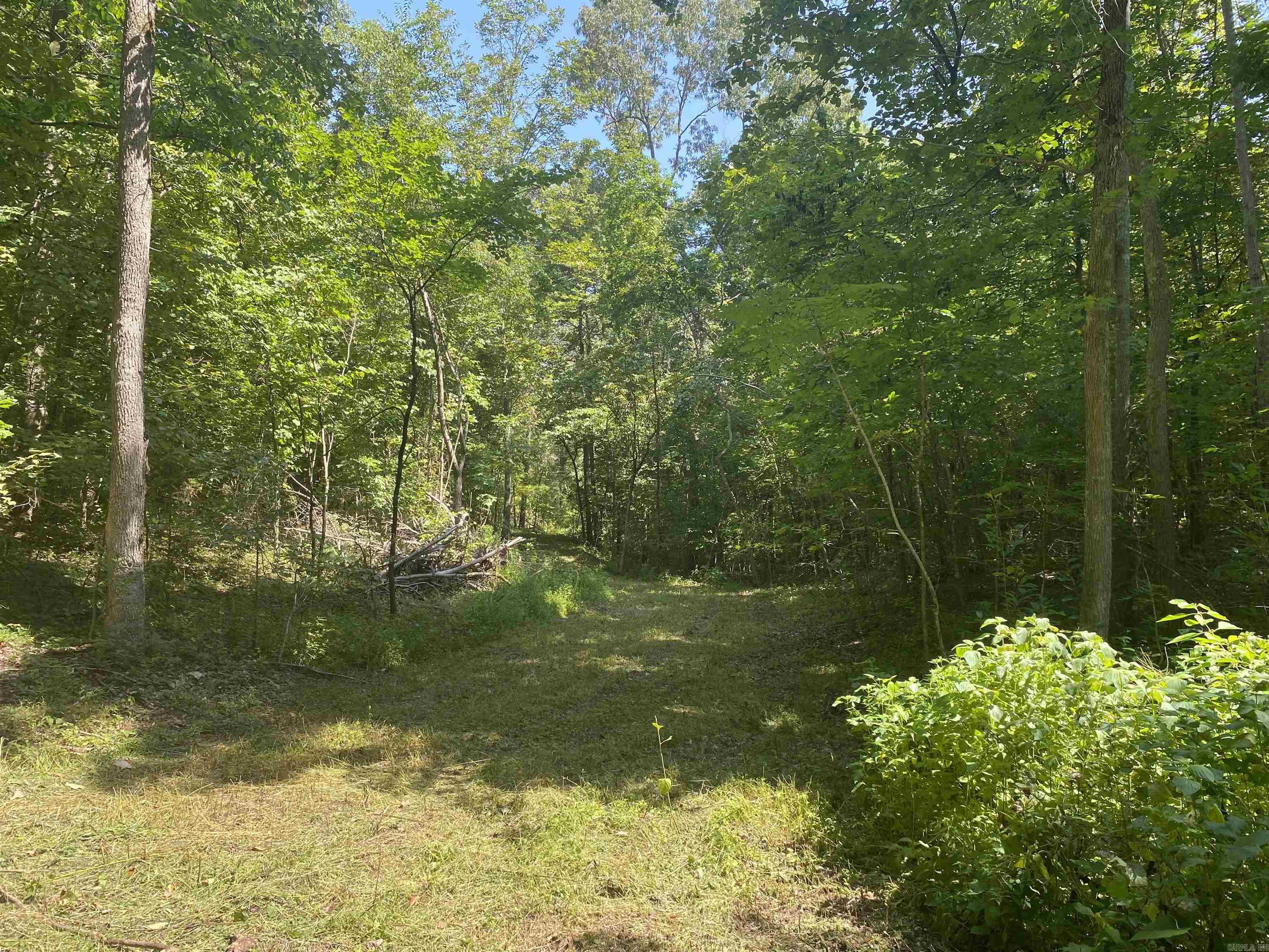 000  Minick Road  Mountain View, AR