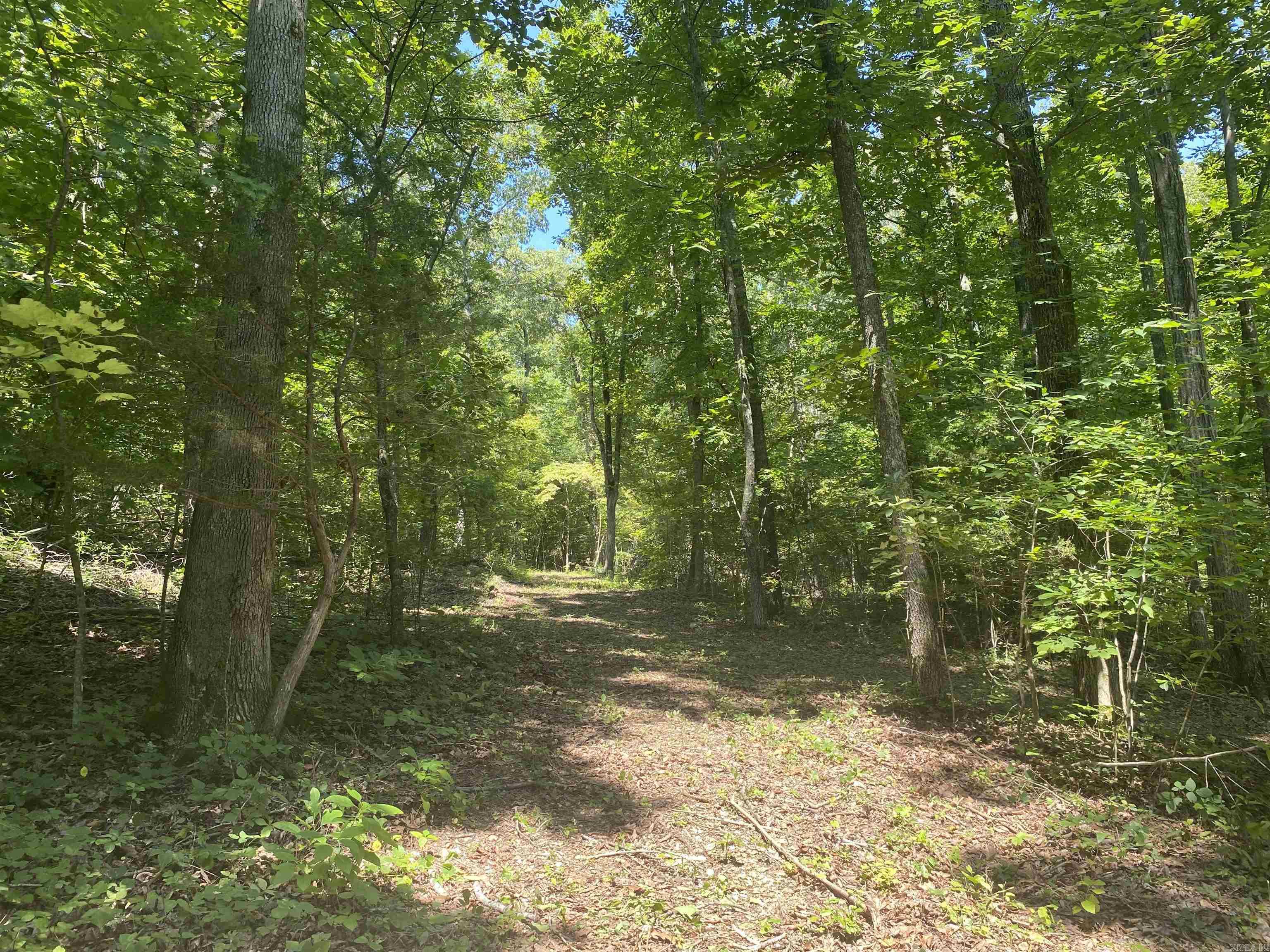 000  Minick Road  Mountain View, AR