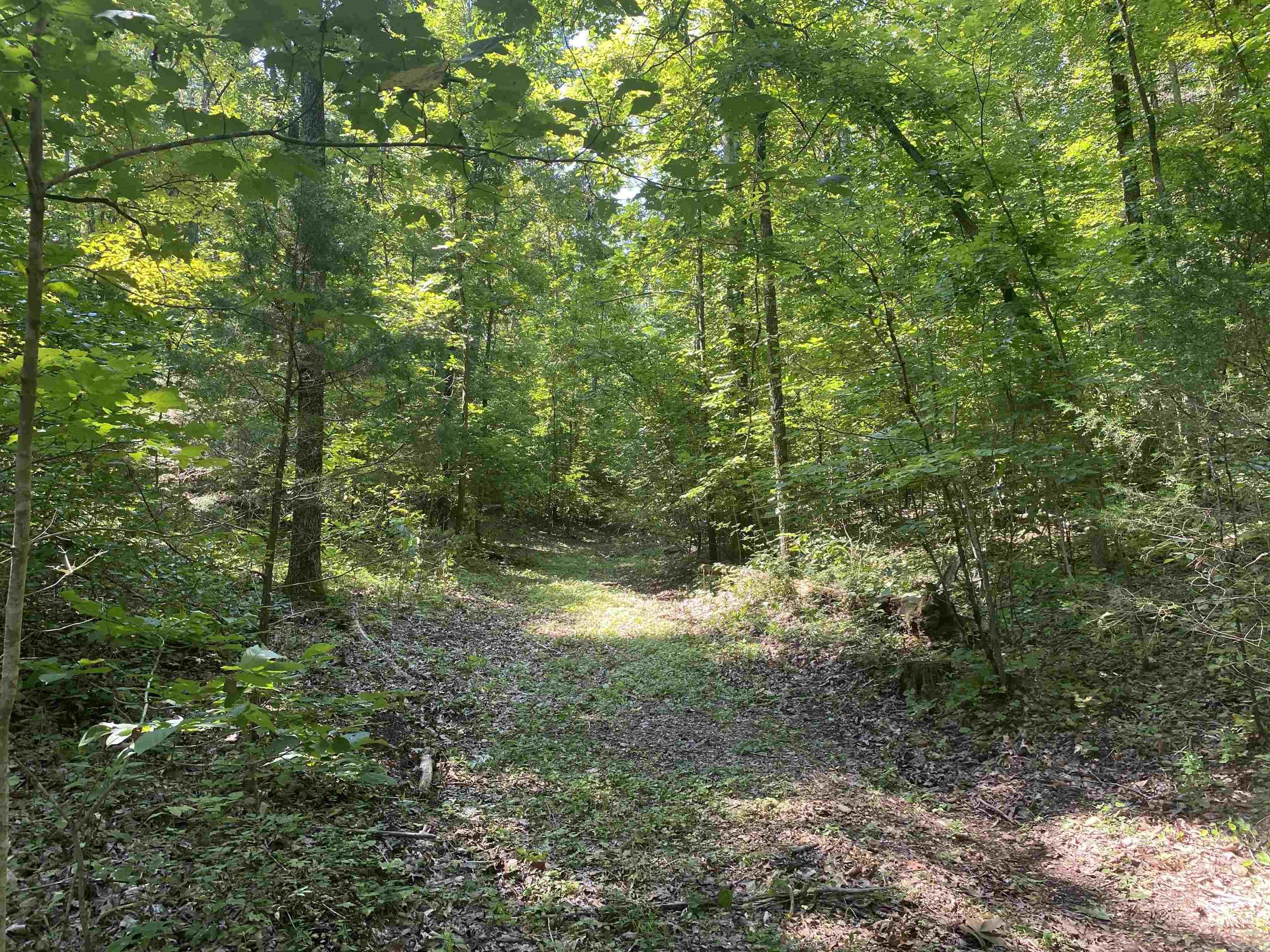 000  Minick Road  Mountain View, AR