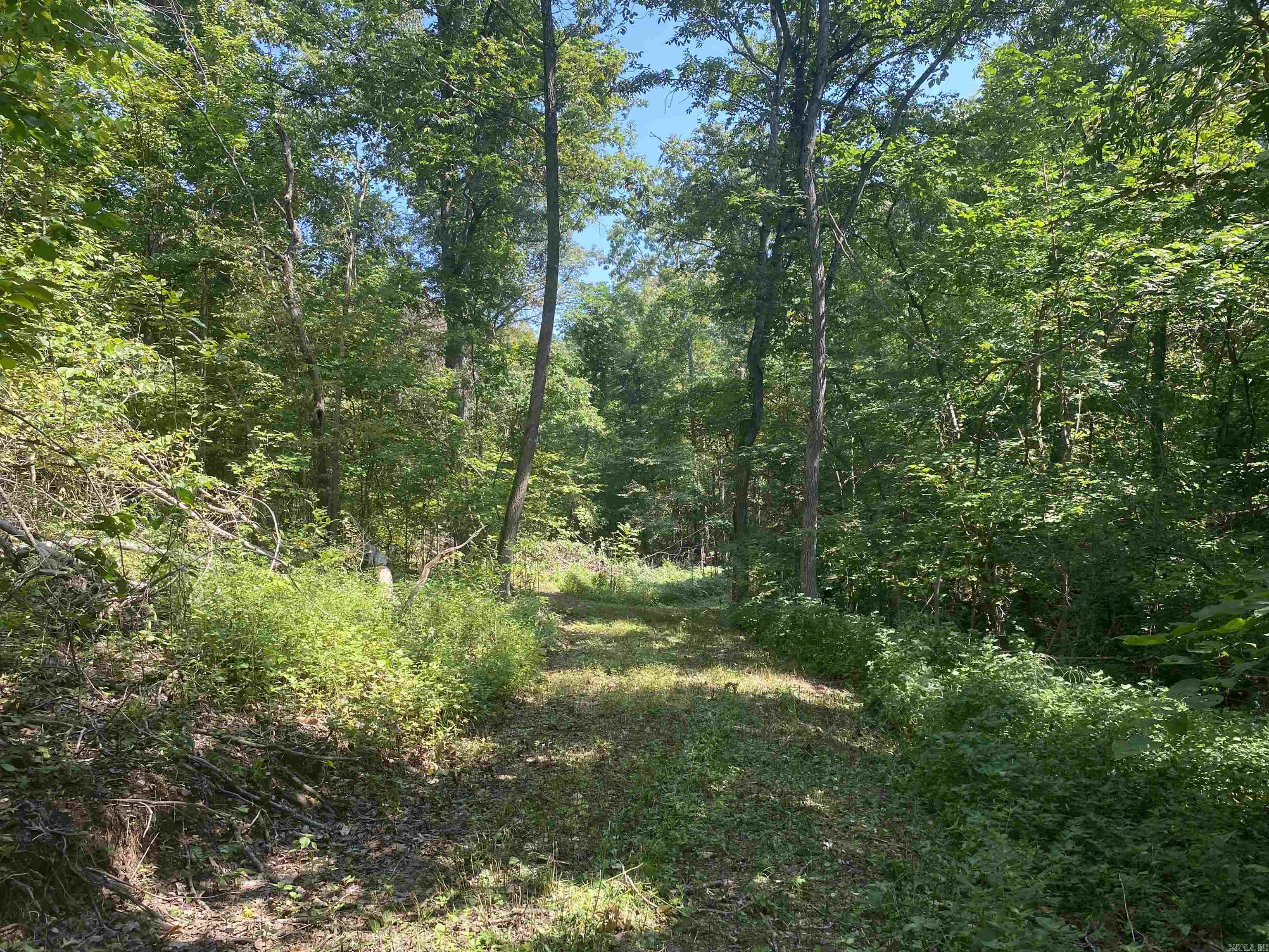 000  Minick Road  Mountain View, AR