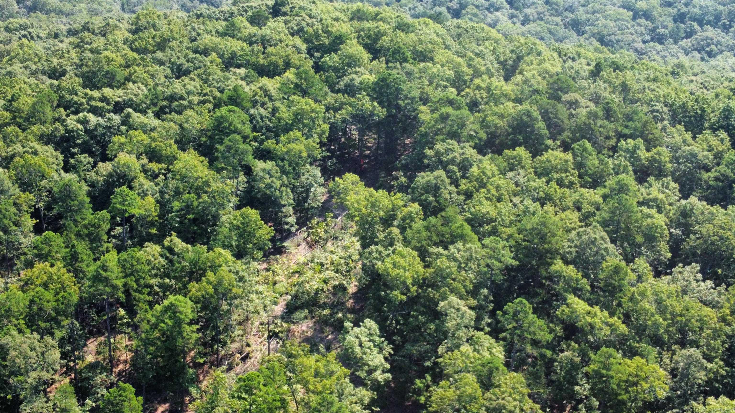 000  Minick Road  Mountain View, AR