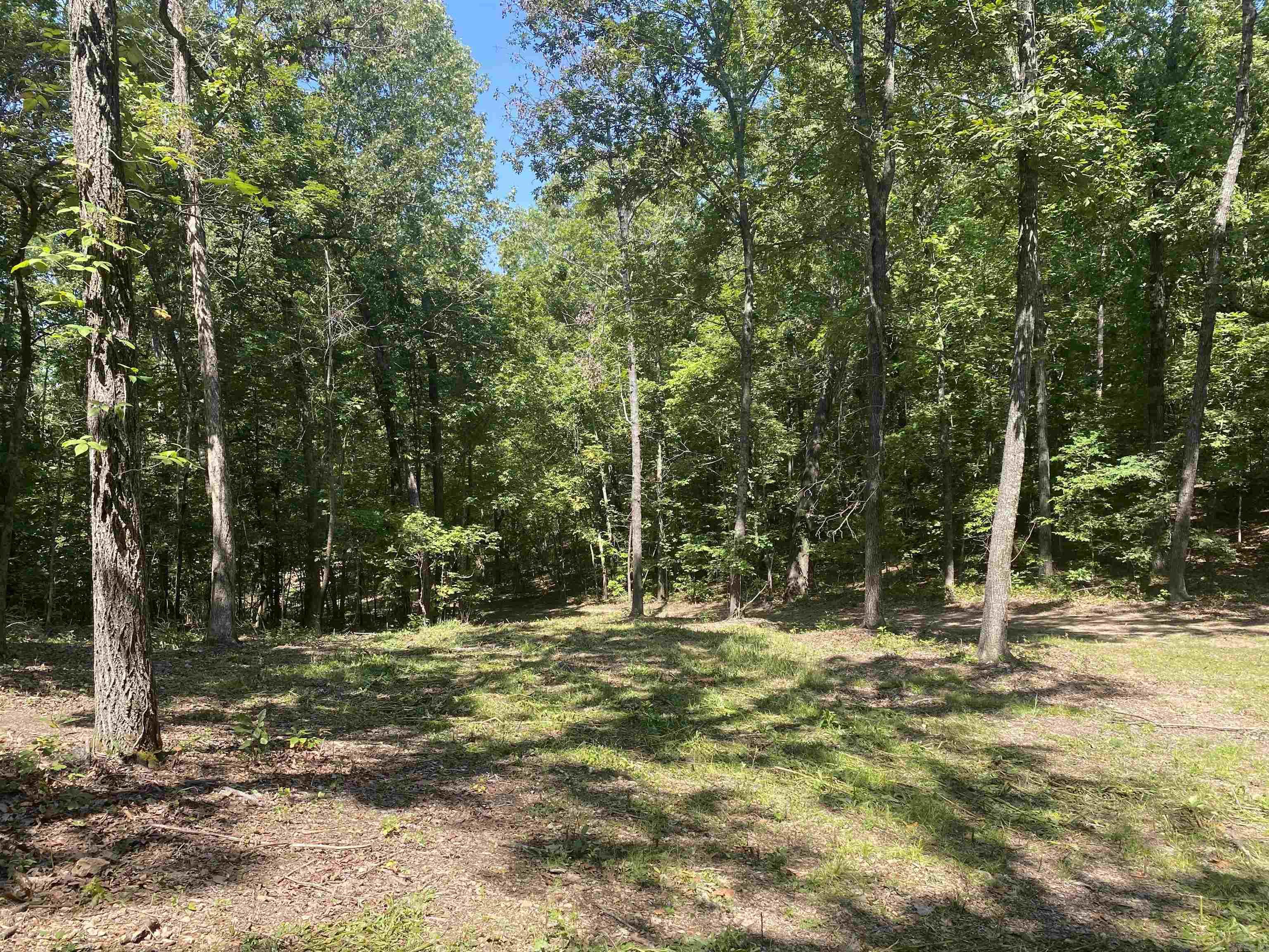 000  Minick Road  Mountain View, AR