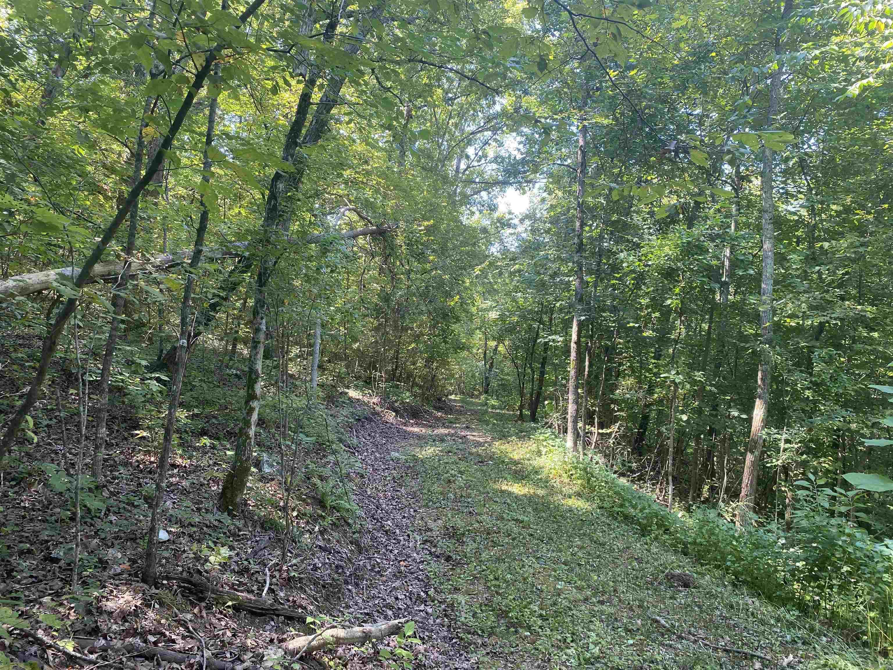 000  Minick Road  Mountain View, AR