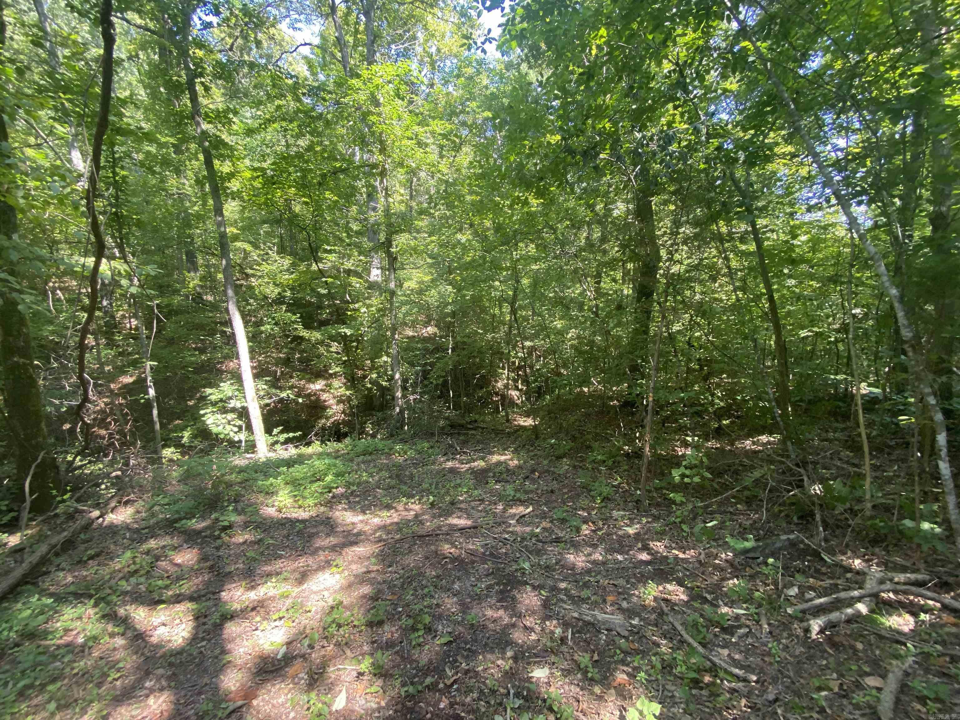 000  Minick Road  Mountain View, AR