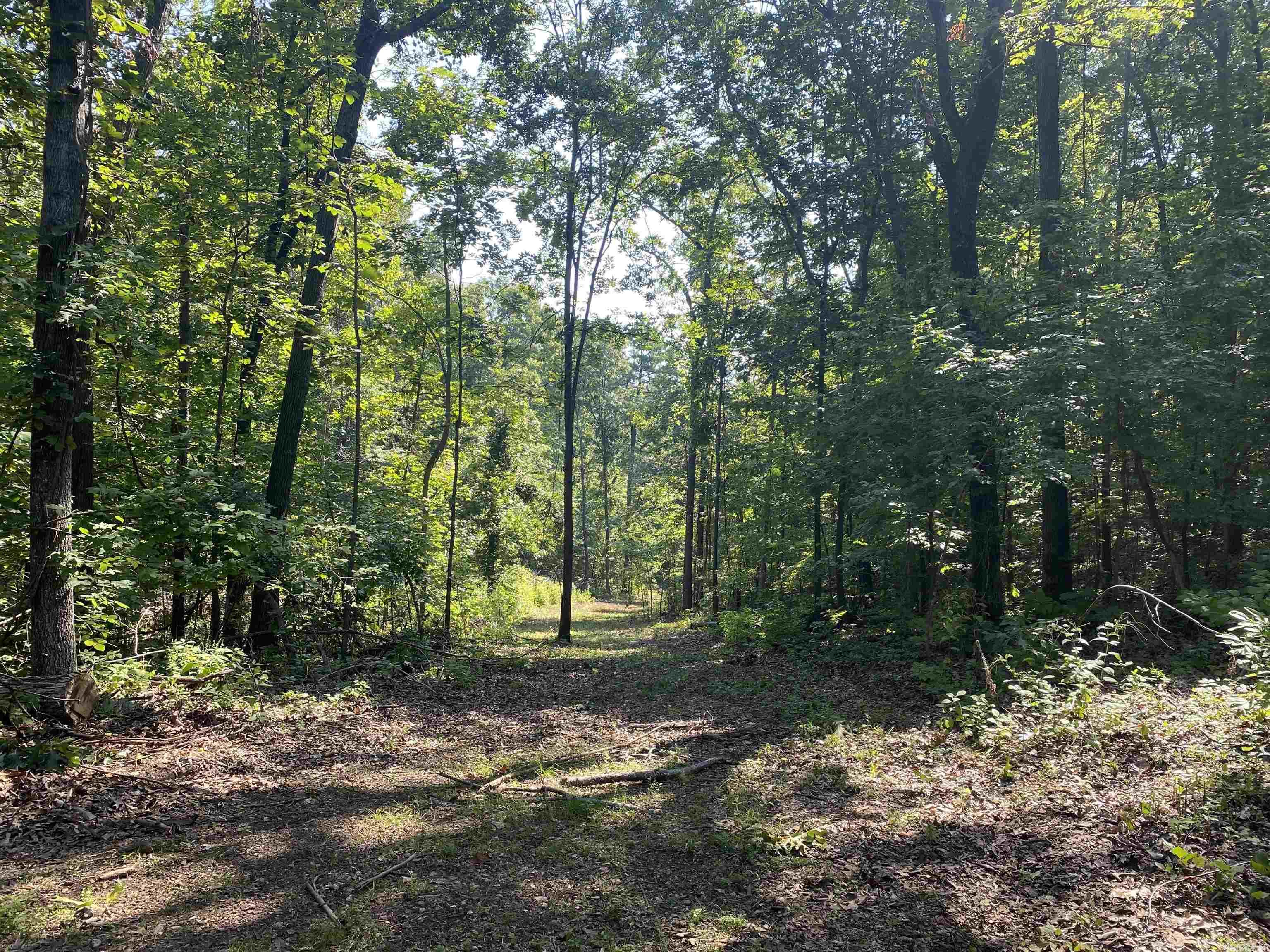 000  Minick Road  Mountain View, AR