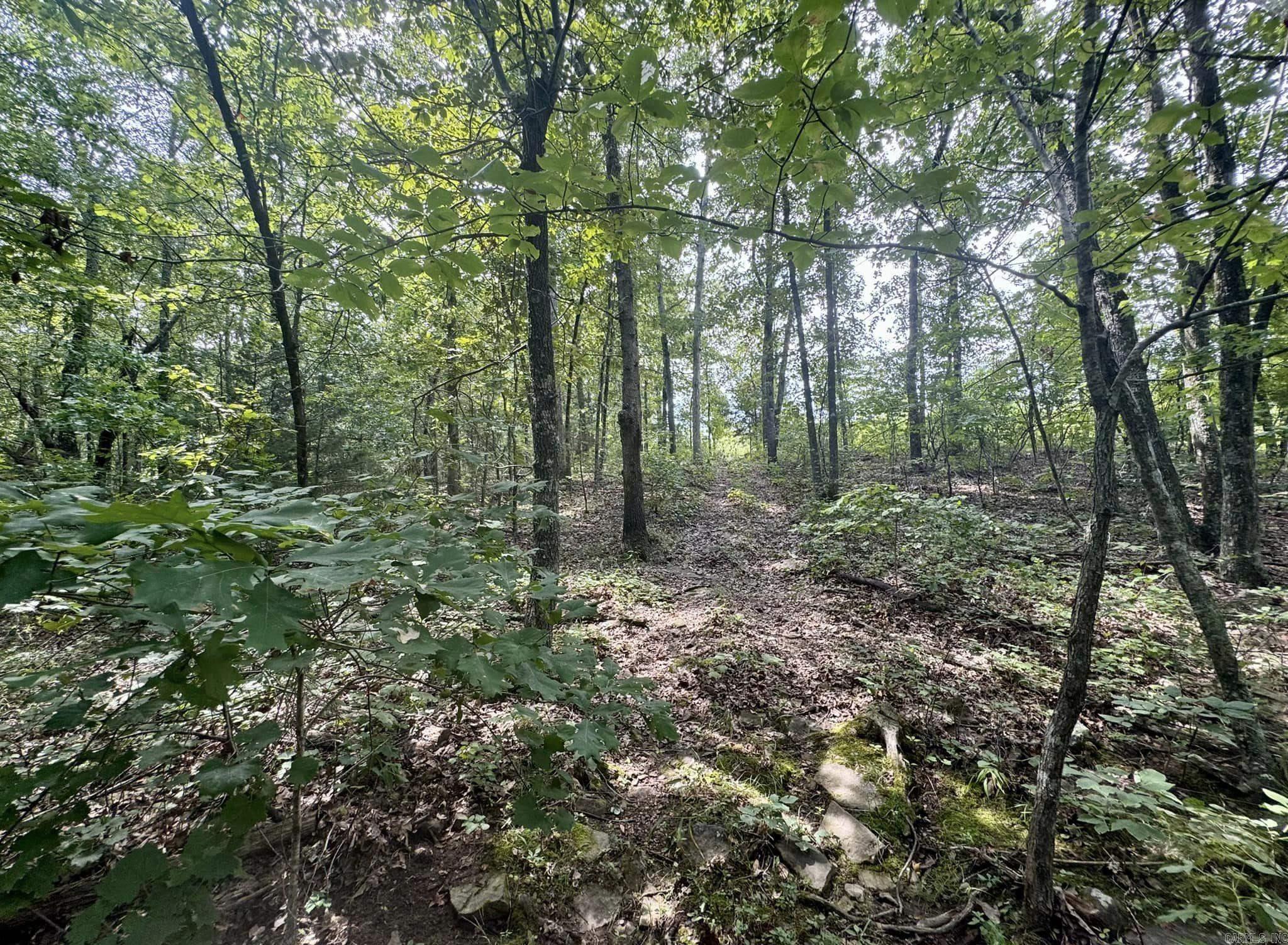 1499 Sutterfield Road Fox, AR 72051