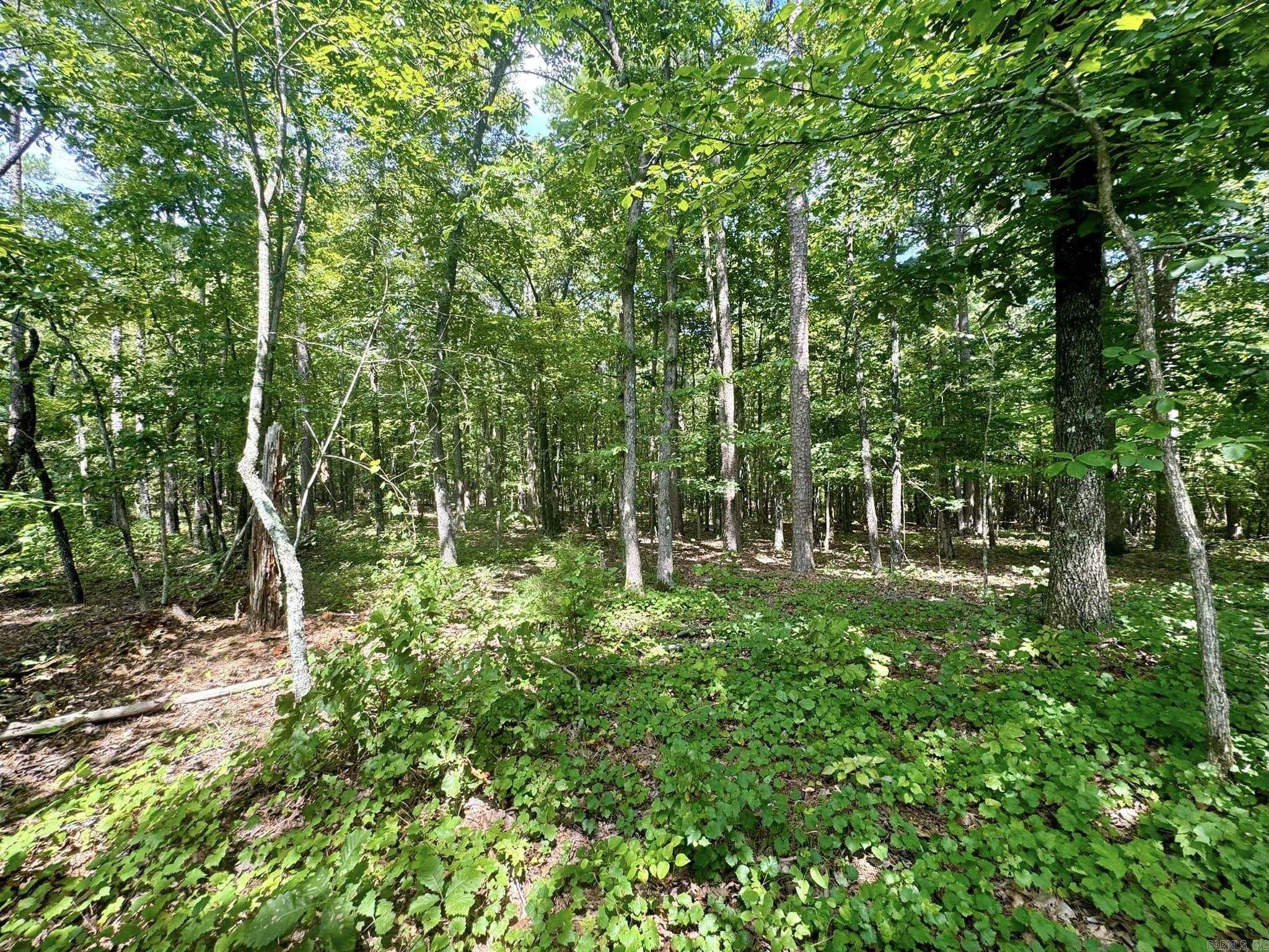 1499 Sutterfield Road Fox, AR 72051
