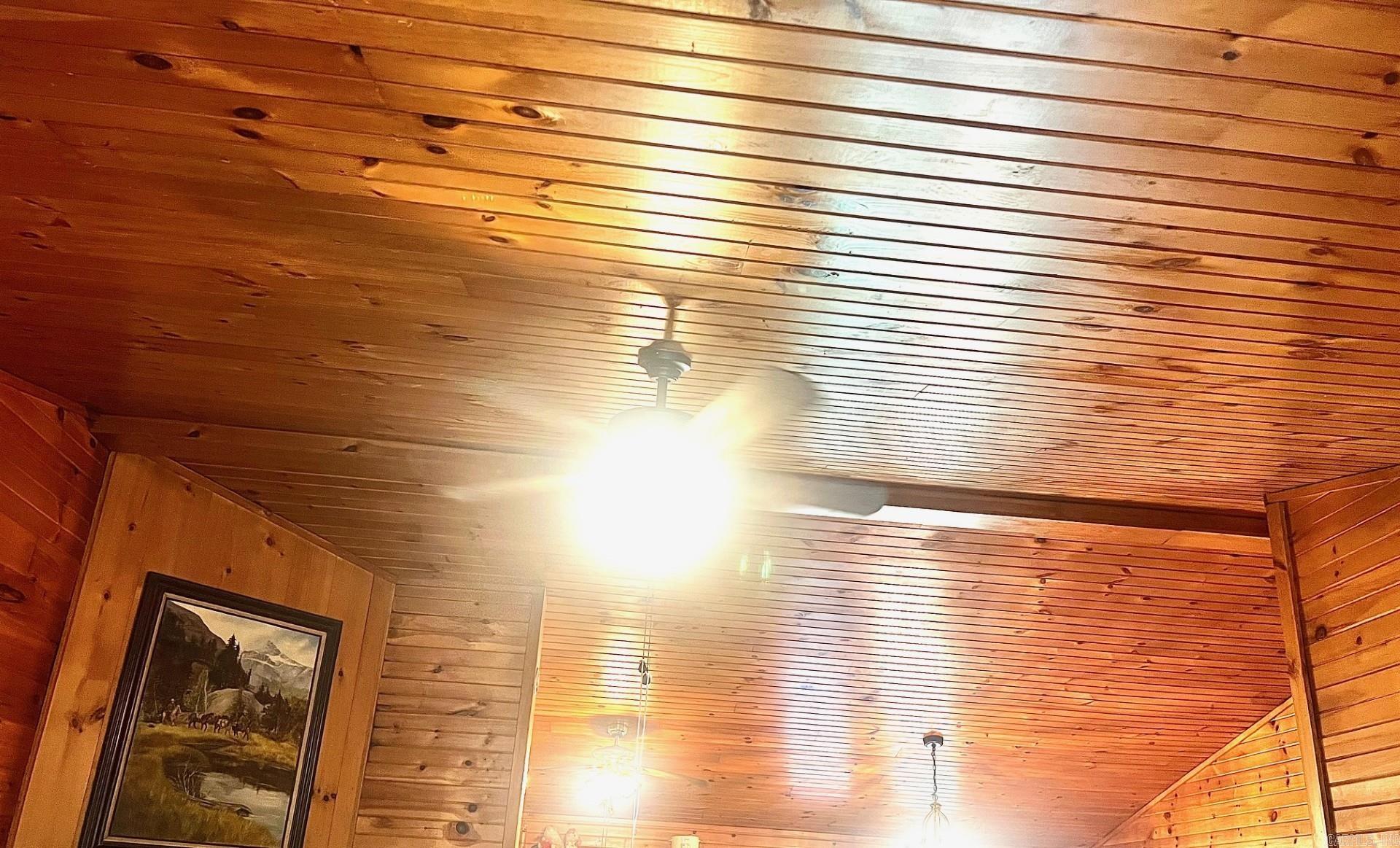 154  McJester  Pangburn, AR