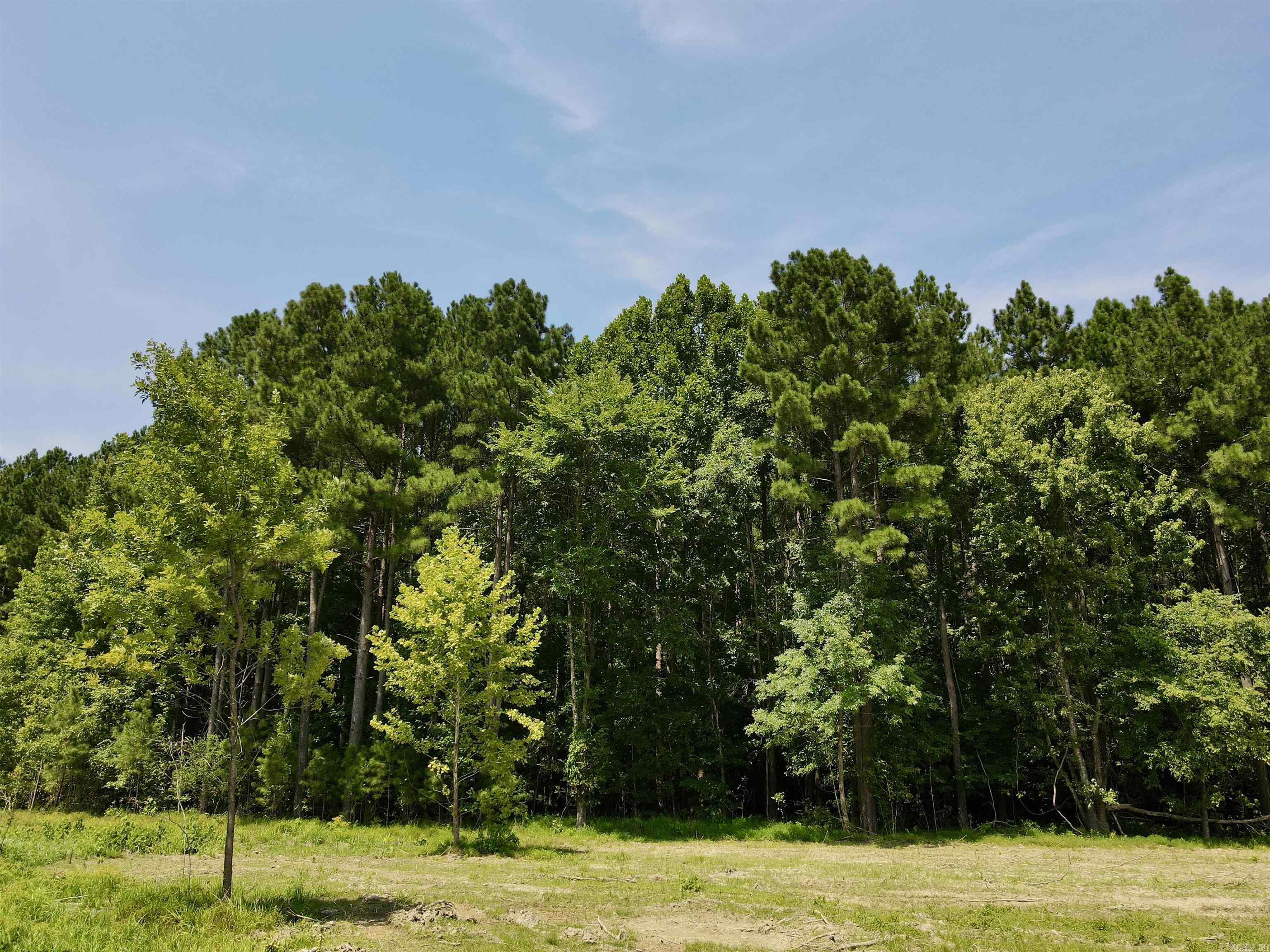 000  Old River Rd.  Pangburn, AR