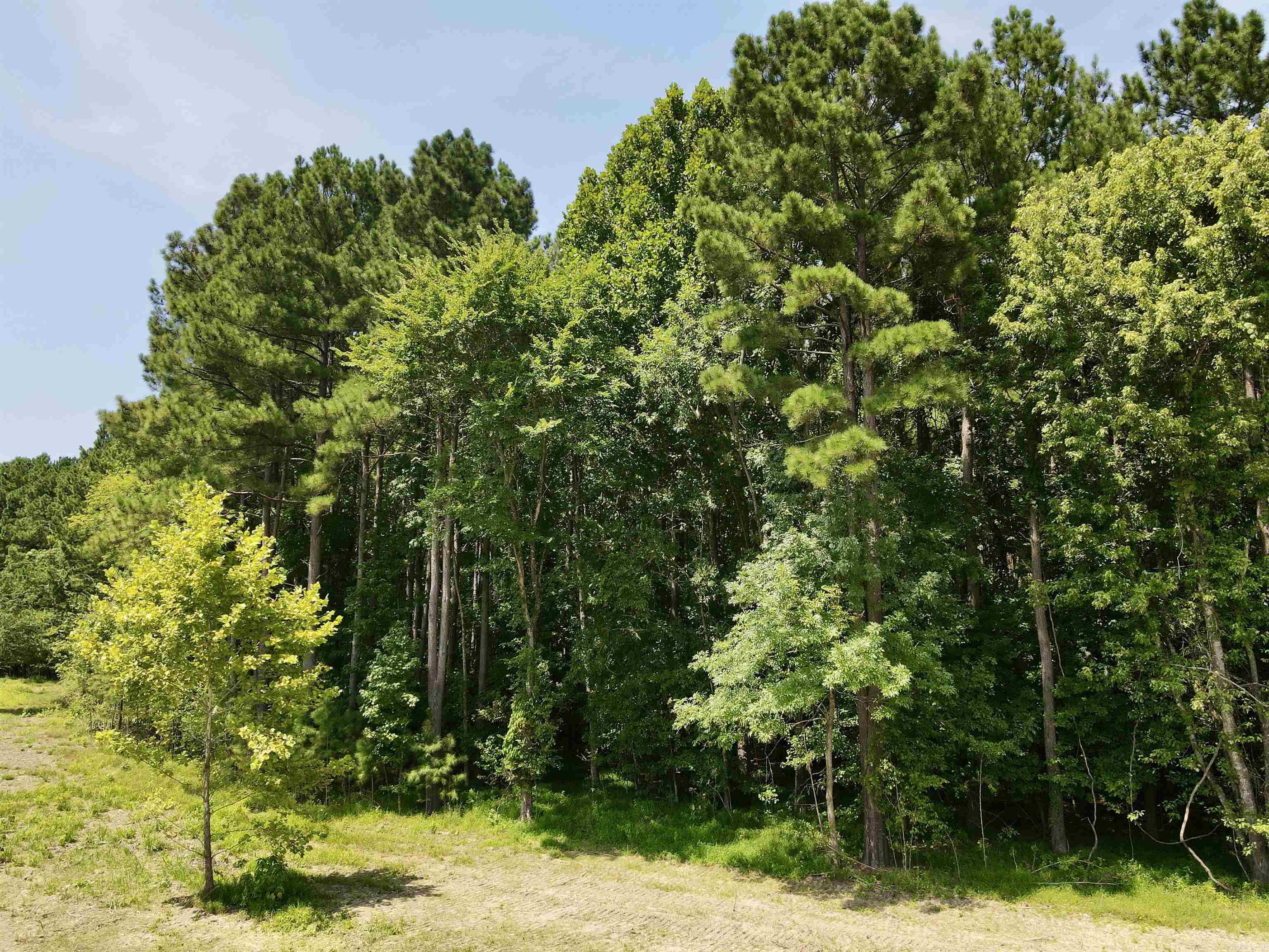000  Old River Rd.  Pangburn, AR