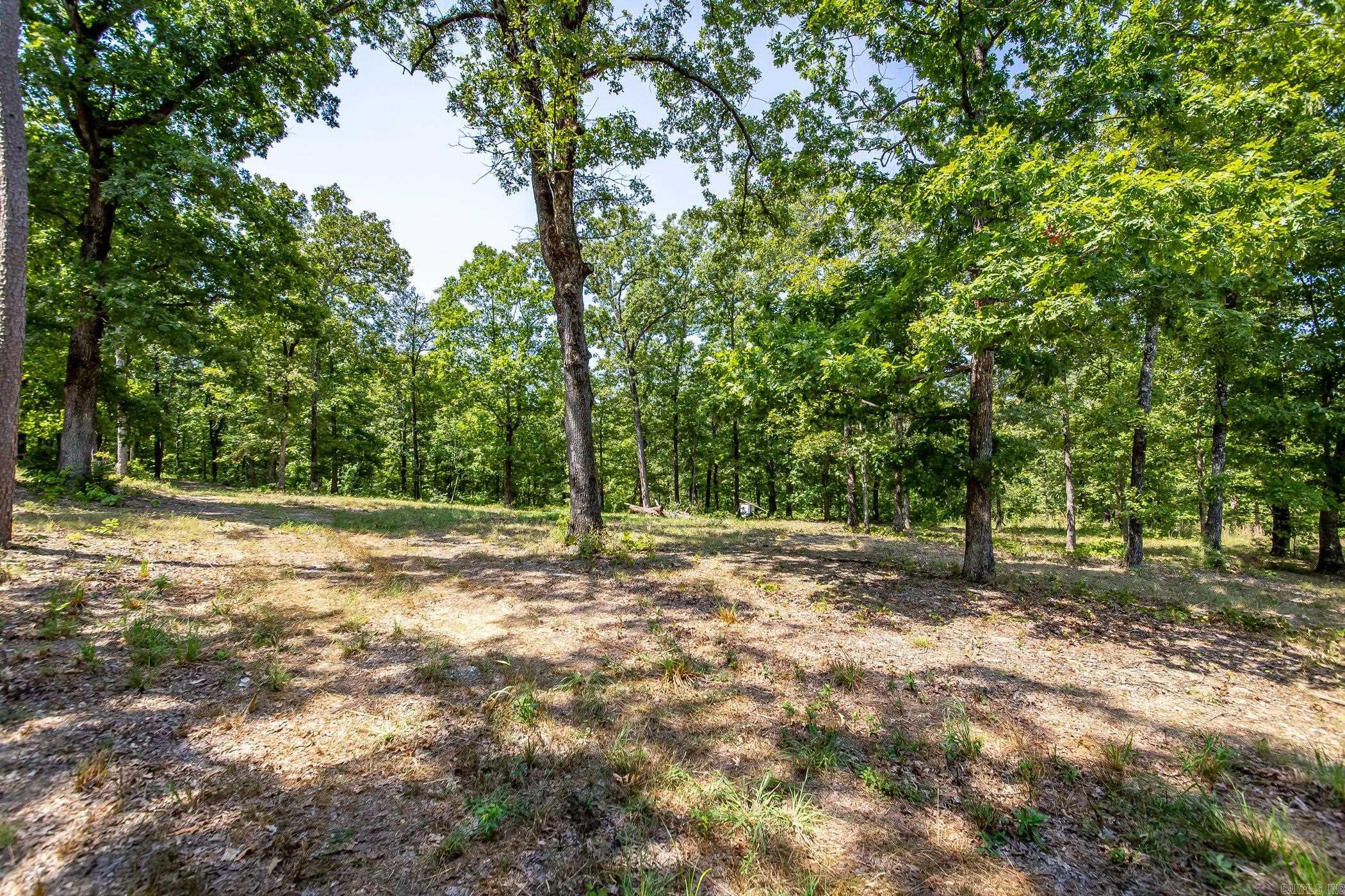 351 Whiterock Road Shirley, AR 72153