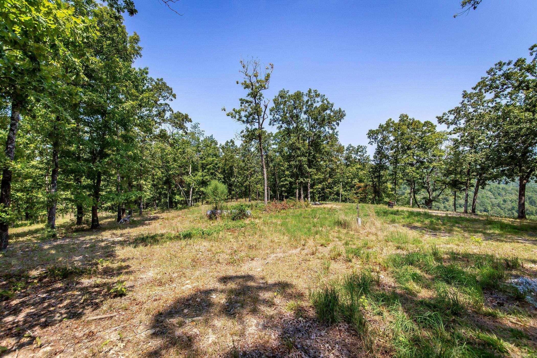 351 Whiterock Road Shirley, AR 72153