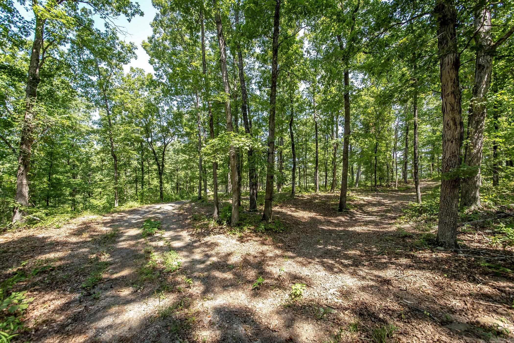 351 Whiterock Road Shirley, AR 72153