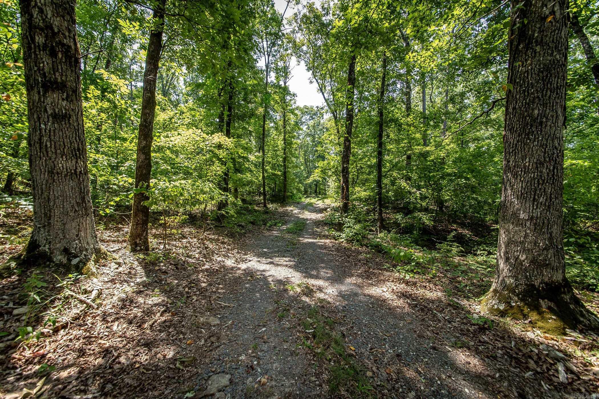 351 Whiterock Road Shirley, AR 72153