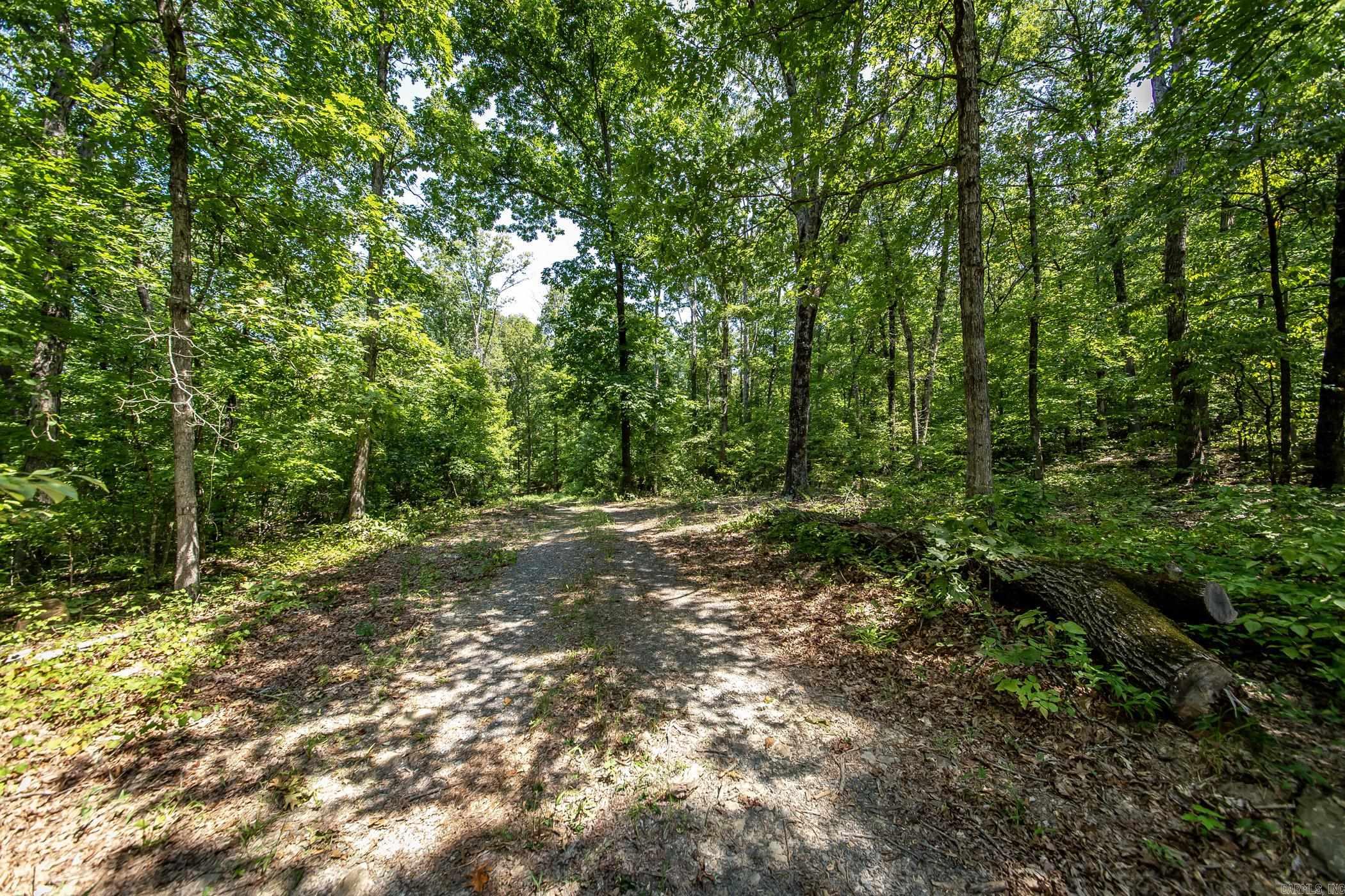 351 Whiterock Road Shirley, AR 72153