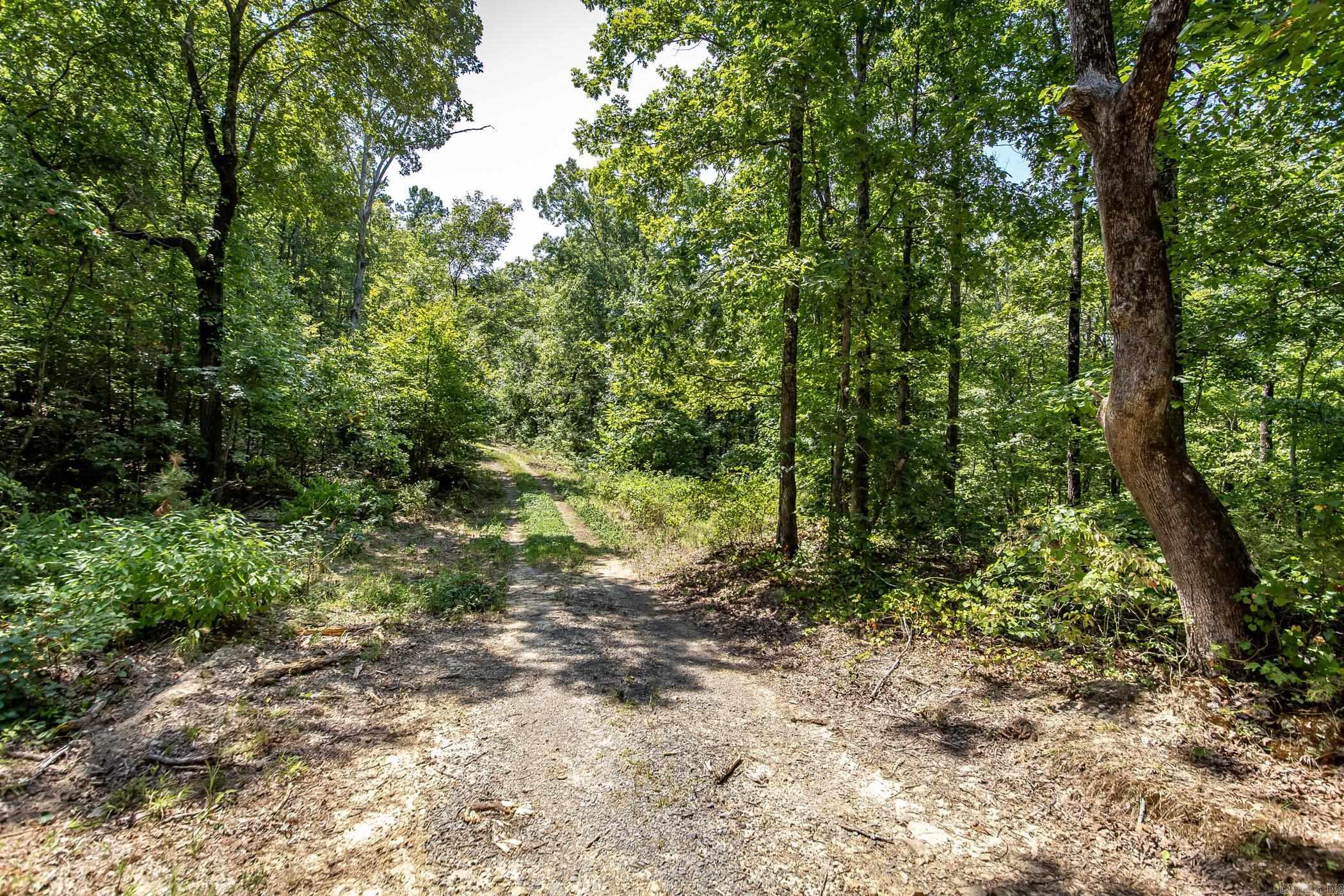 351 Whiterock Road Shirley, AR 72153