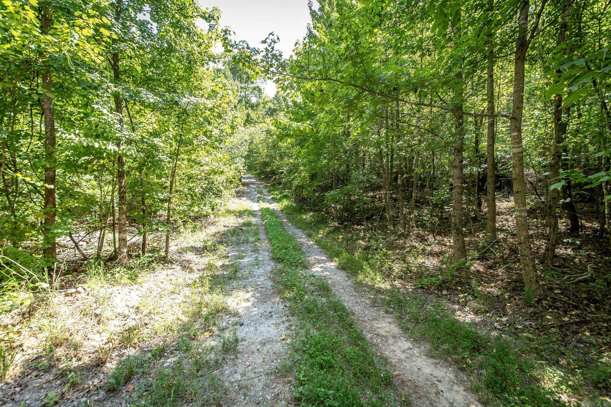 351 Whiterock Road Shirley, AR 72153
