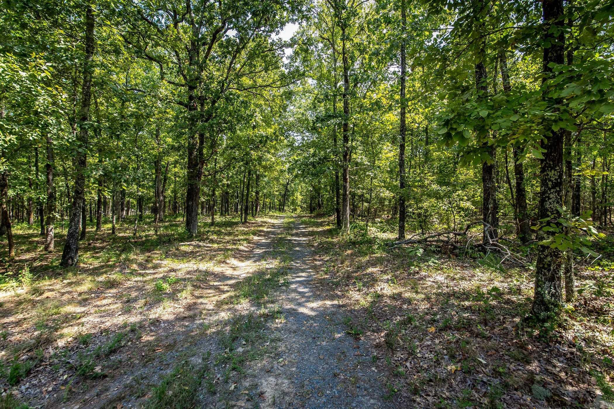351 Whiterock Road Shirley, AR 72153