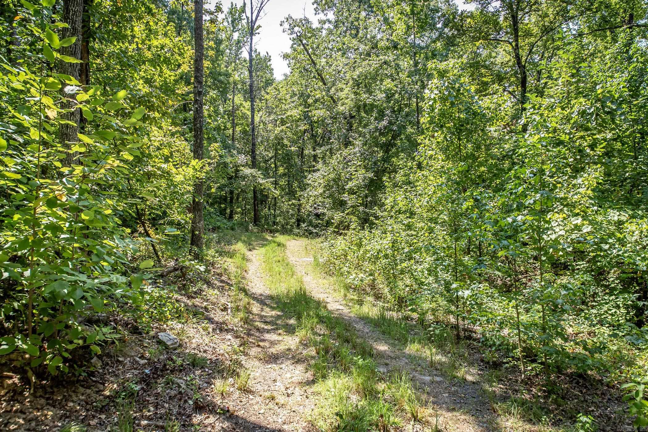 351  Whiterock  Shirley, AR