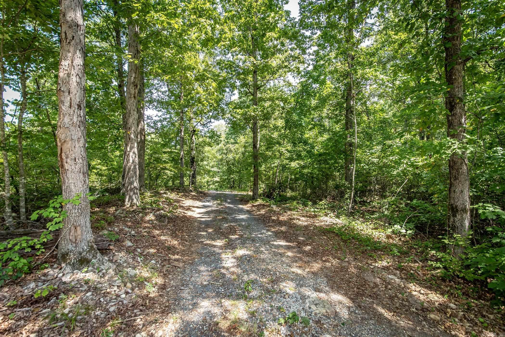 351  Whiterock  Shirley, AR