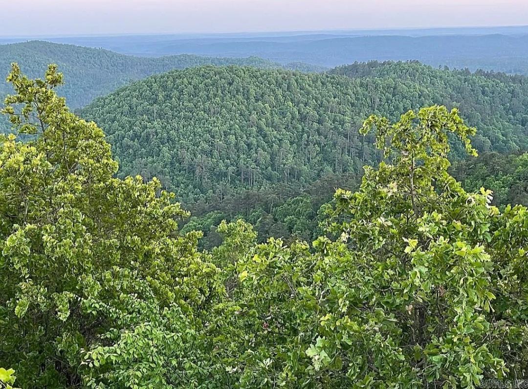Unk  Polk Road 615  Mena, AR