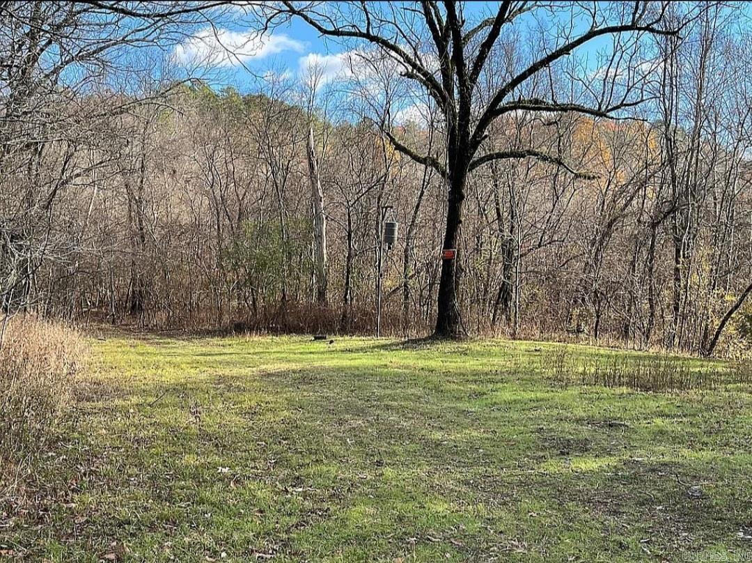 Unk  Polk Road 615  Mena, AR