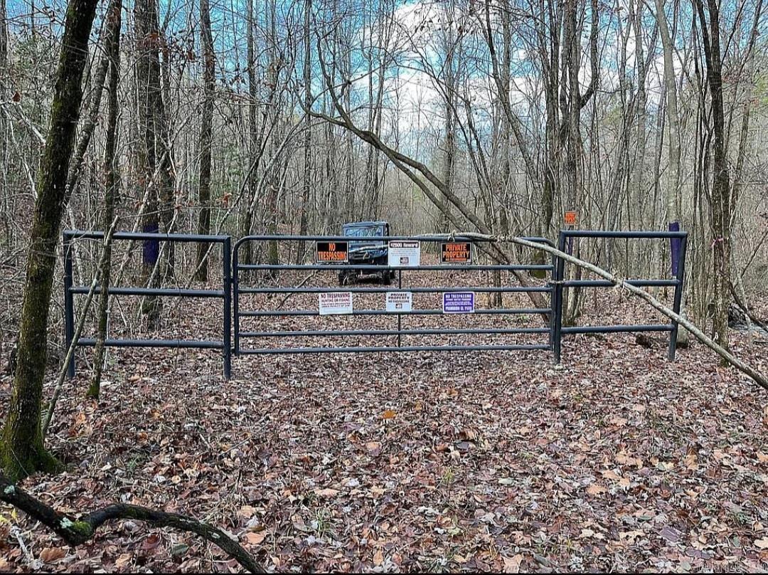Unk  Polk Road 615  Mena, AR
