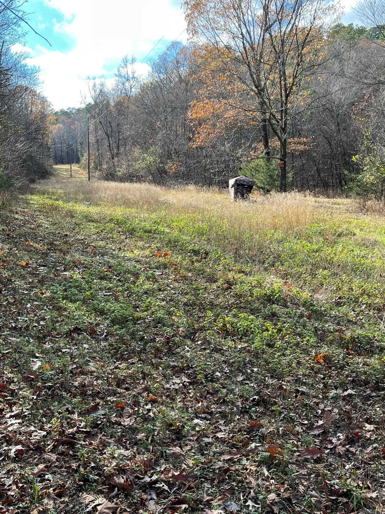 Unk  Polk Road 615  Mena, AR