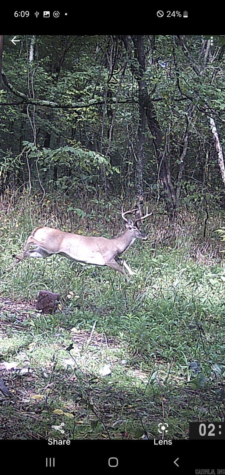 Unk  Polk Road 615  Mena, AR