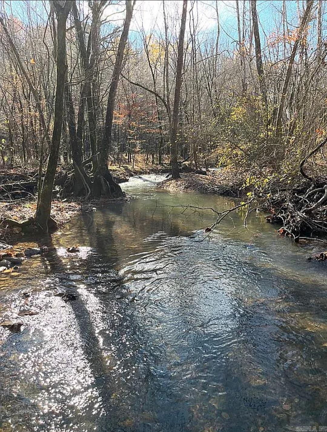 Unk  Polk Road 615  Mena, AR