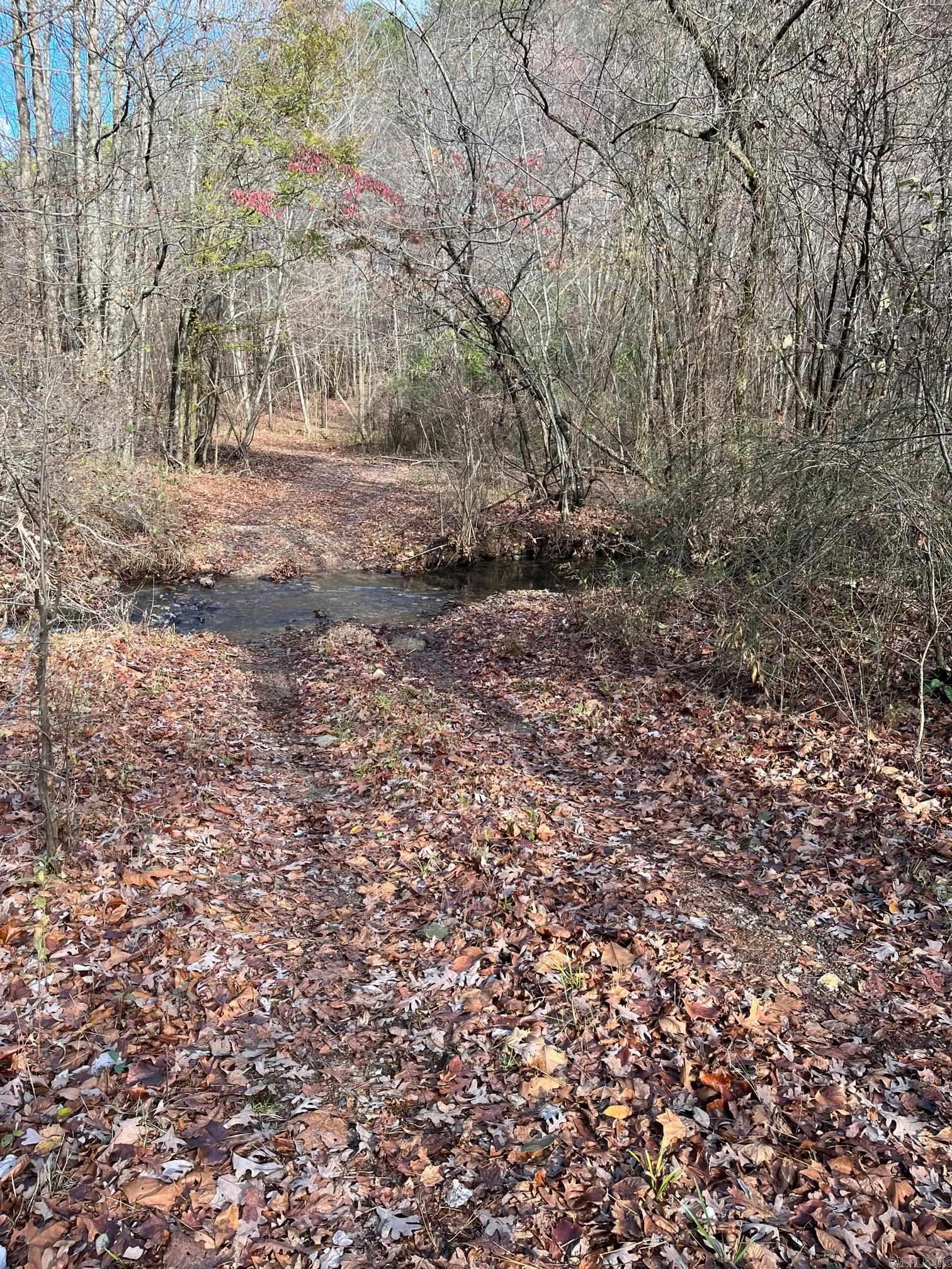 Unk  Polk Road 615  Mena, AR