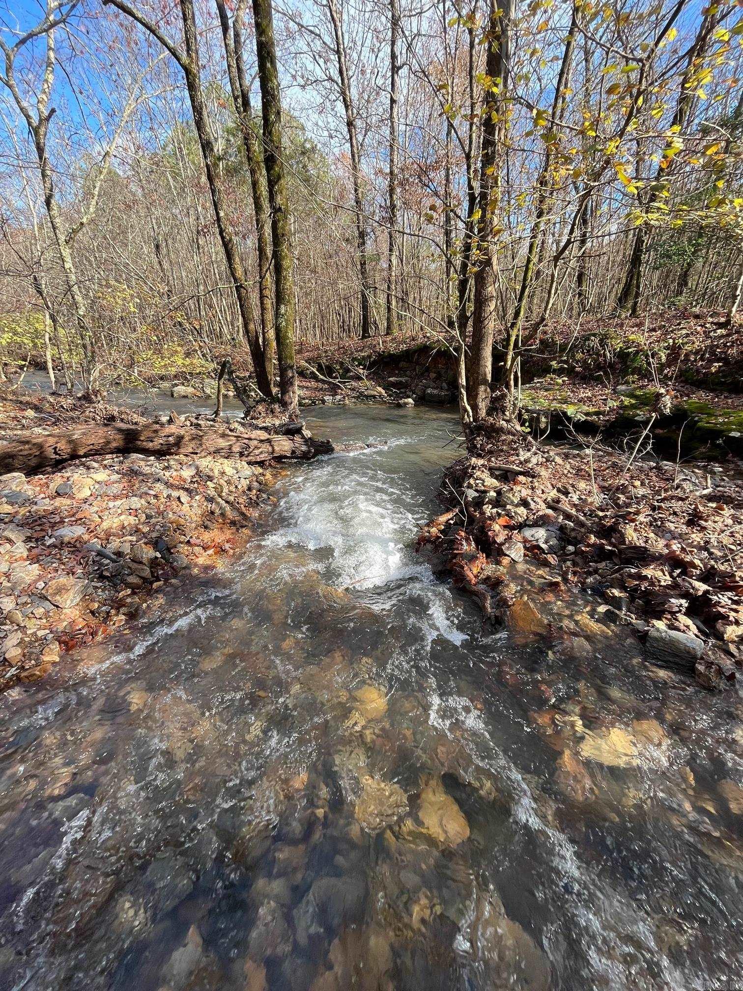 Unk  Polk Road 615  Mena, AR
