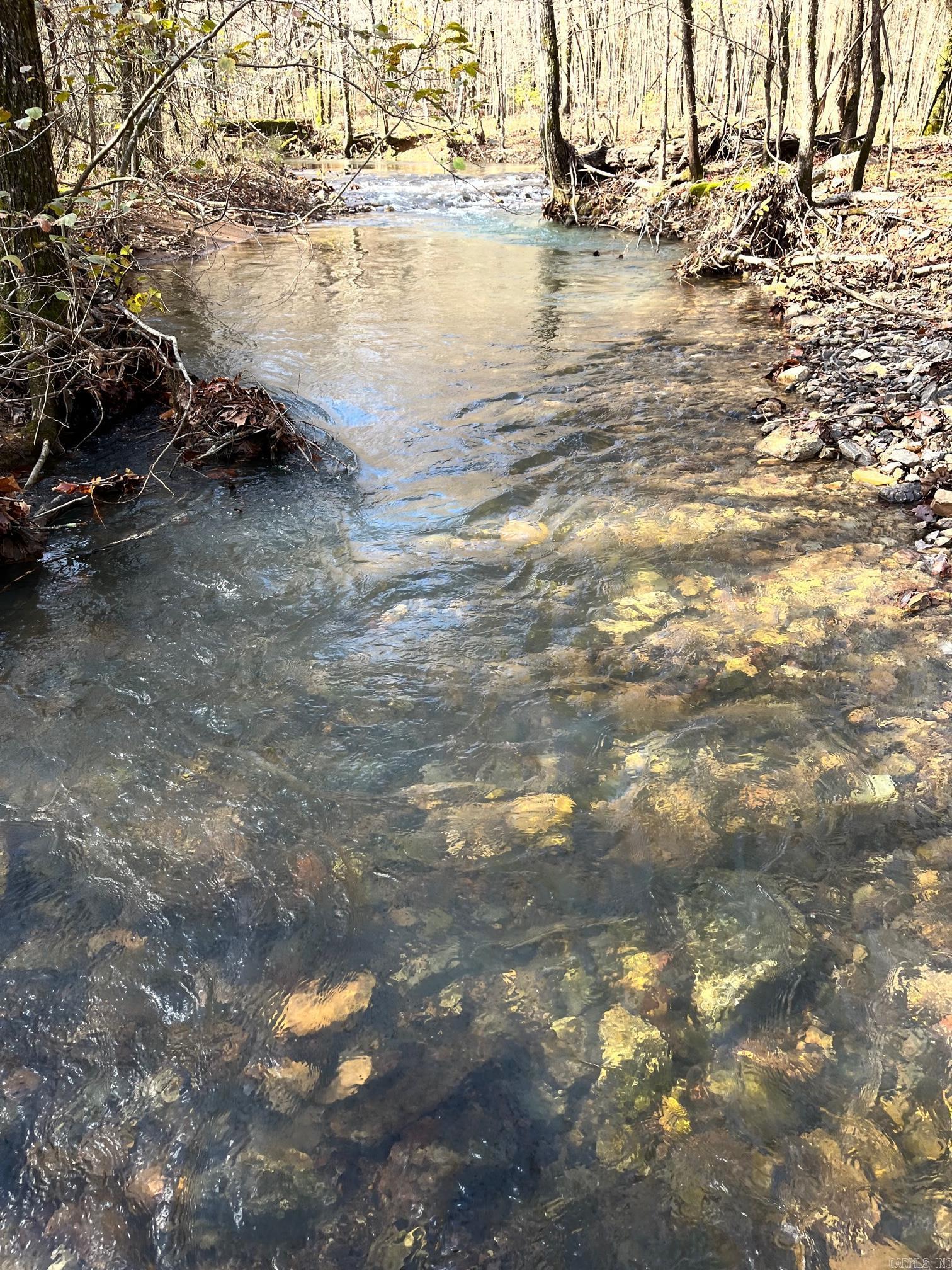 Unk  Polk Road 615  Mena, AR