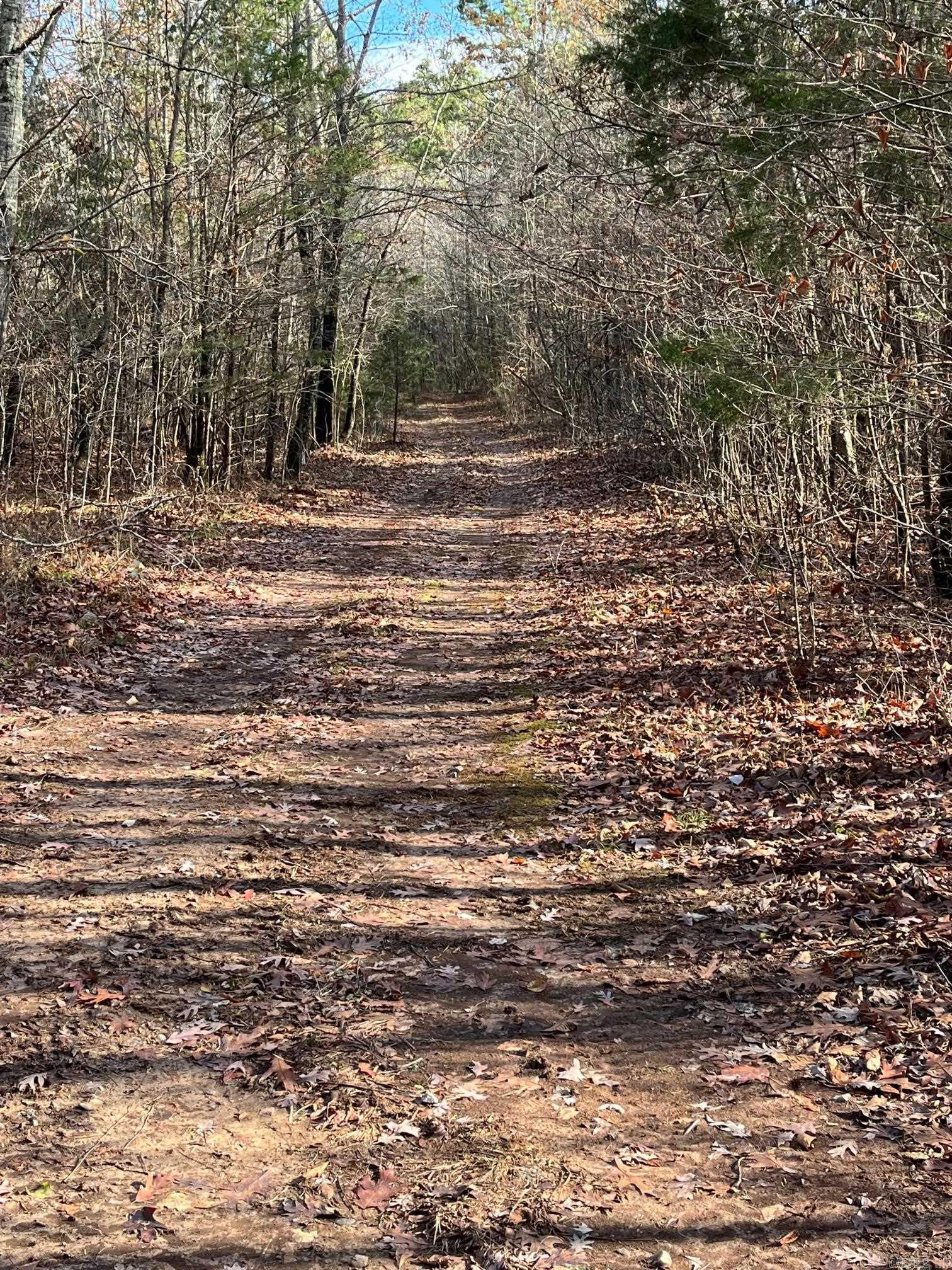 Unk  Polk Road 615  Mena, AR