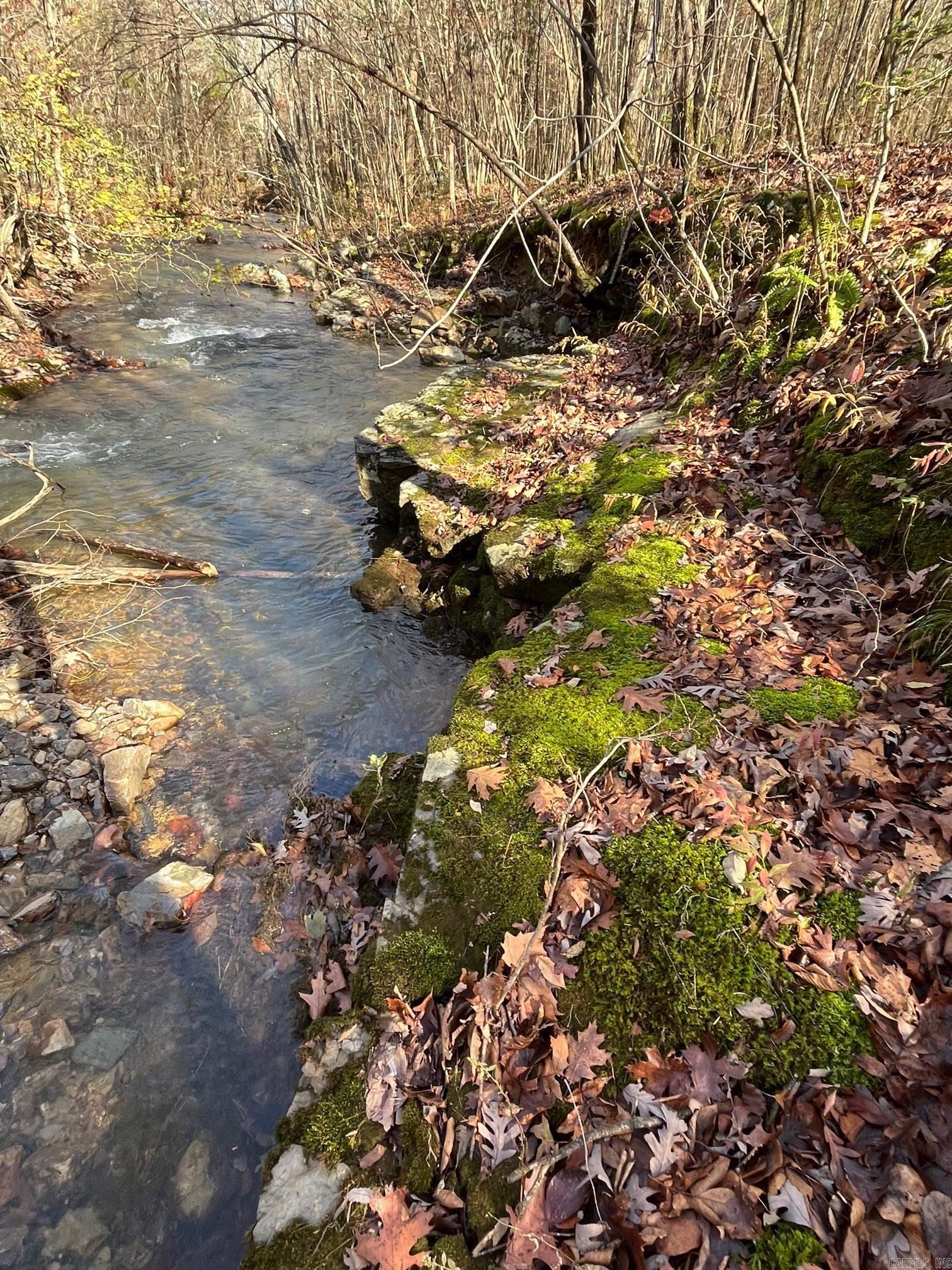 Unk  Polk Road 615  Mena, AR
