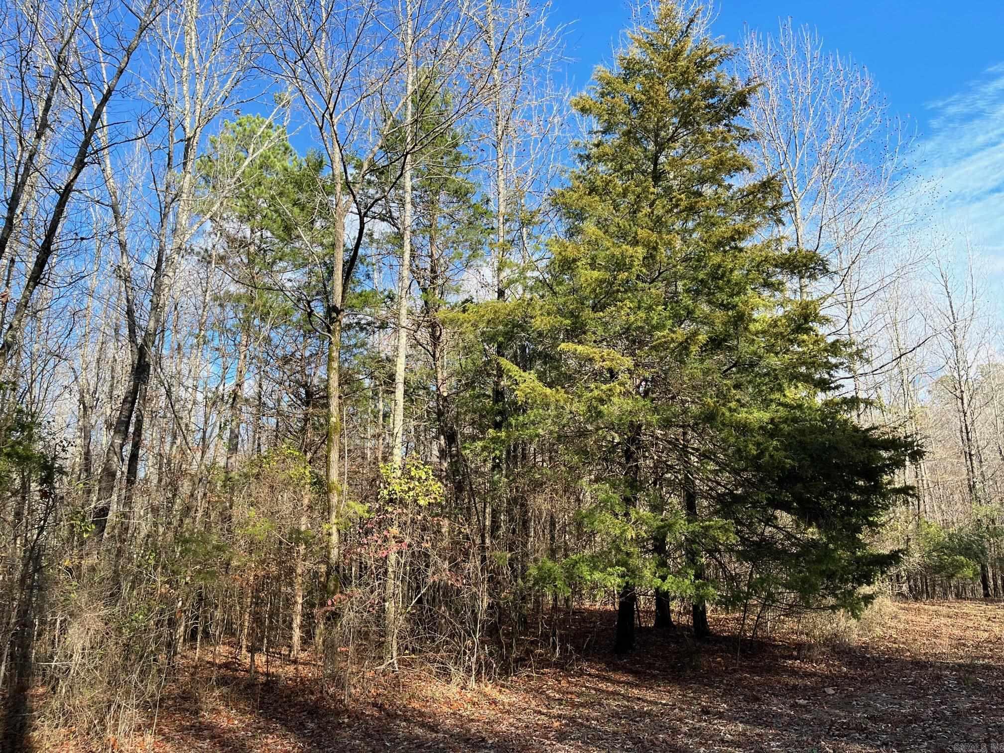 Unk  Polk Road 615  Mena, AR