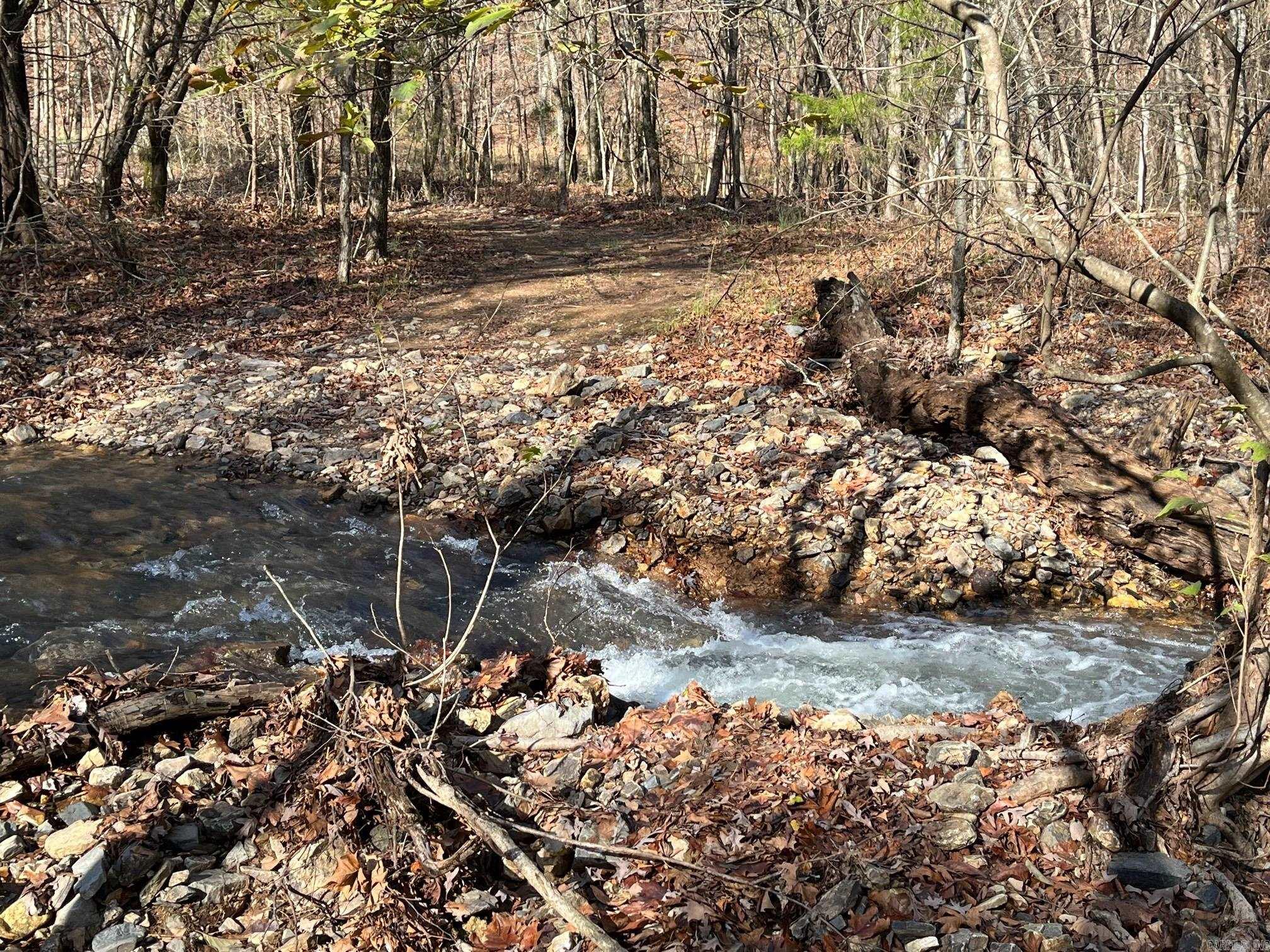 Unk  Polk Road 615  Mena, AR