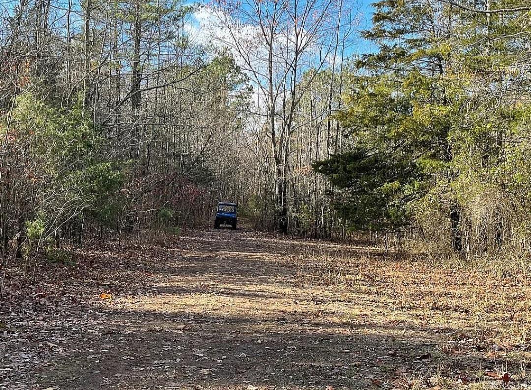 Unk  Polk Road 615  Mena, AR