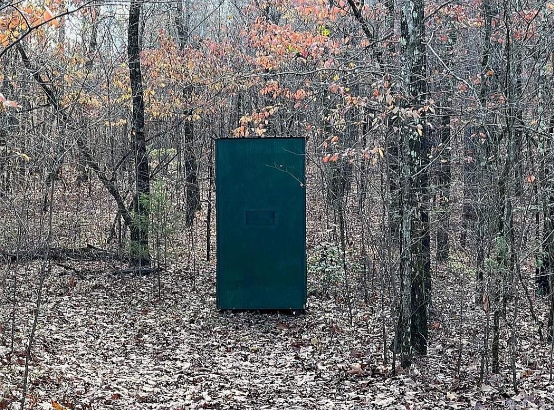 Unk  Polk Road 615  Mena, AR