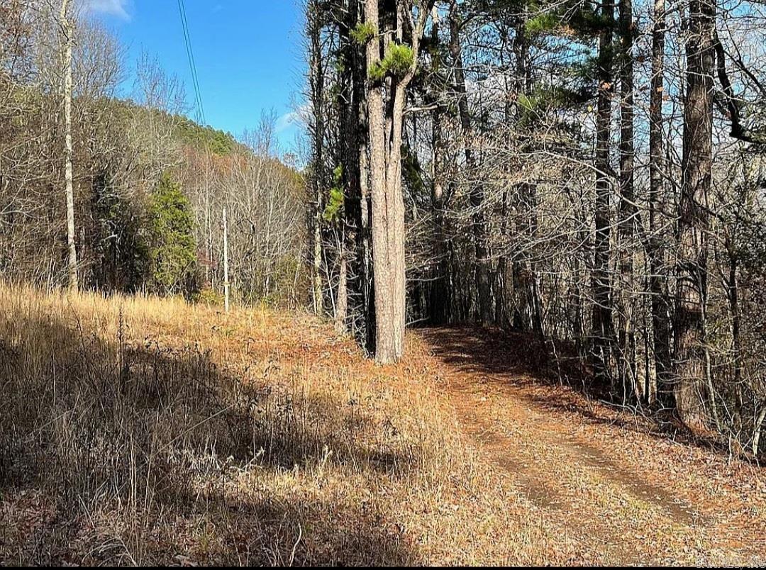 Unk  Polk Road 615  Mena, AR