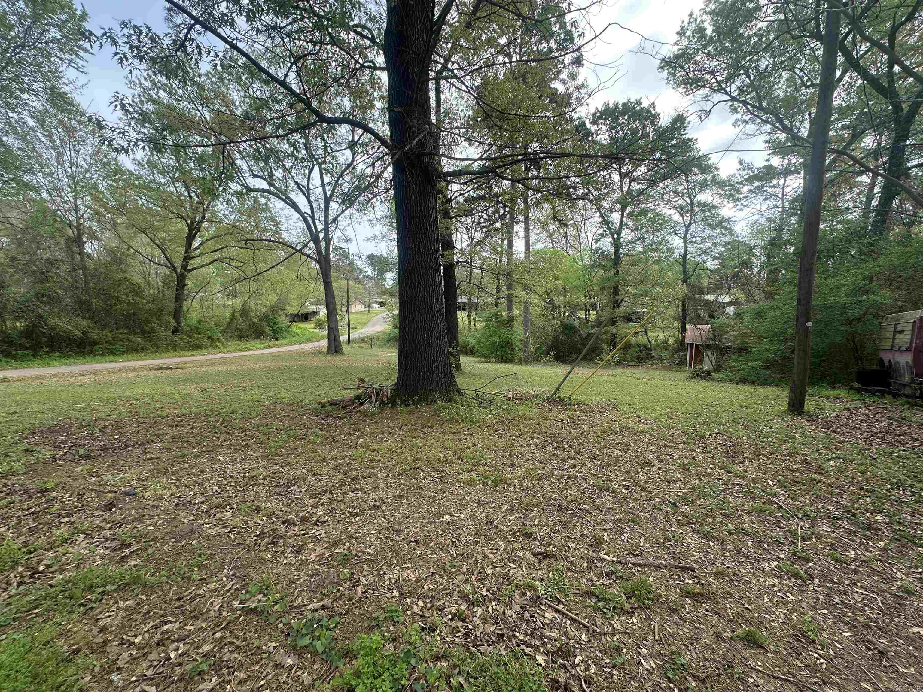 716  Hummingbird Trl  Atlanta, TX