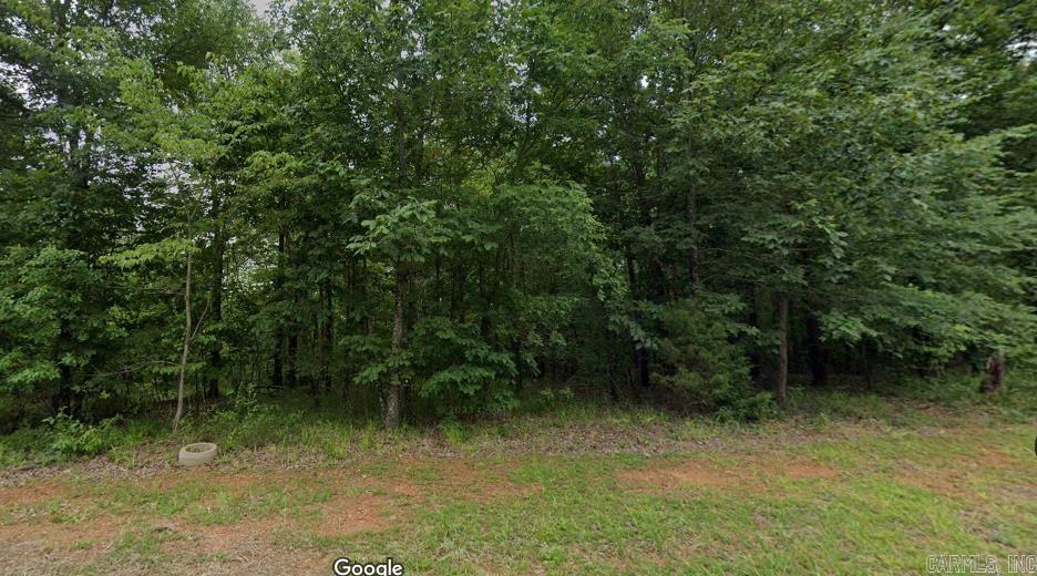31  Mountain Vista  Alexander, AR