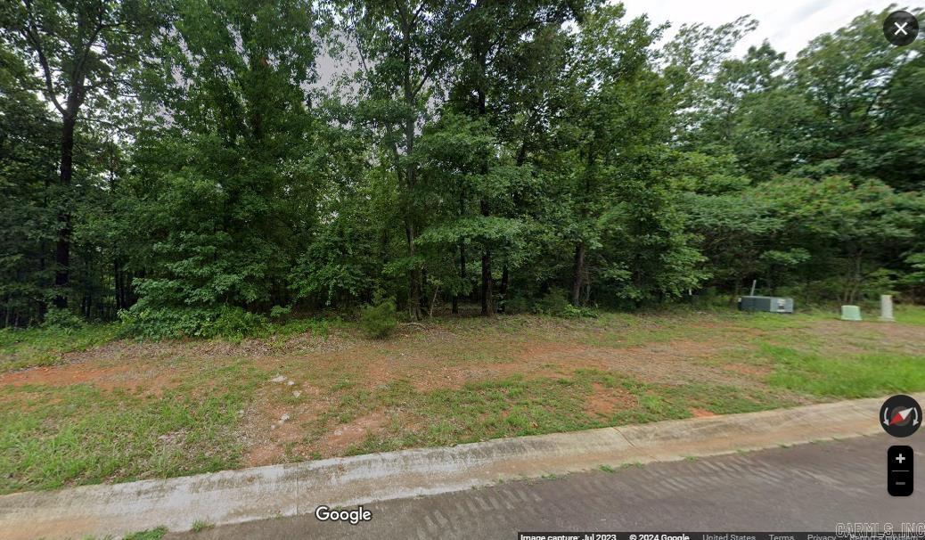 29  Mountain Vista  Alexander, AR