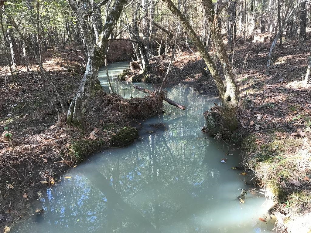 160  Slytown  Amity, AR