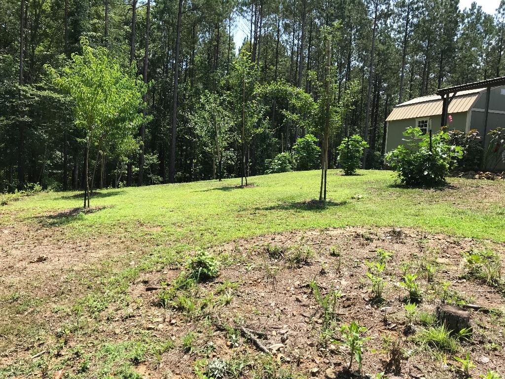160  Slytown  Amity, AR