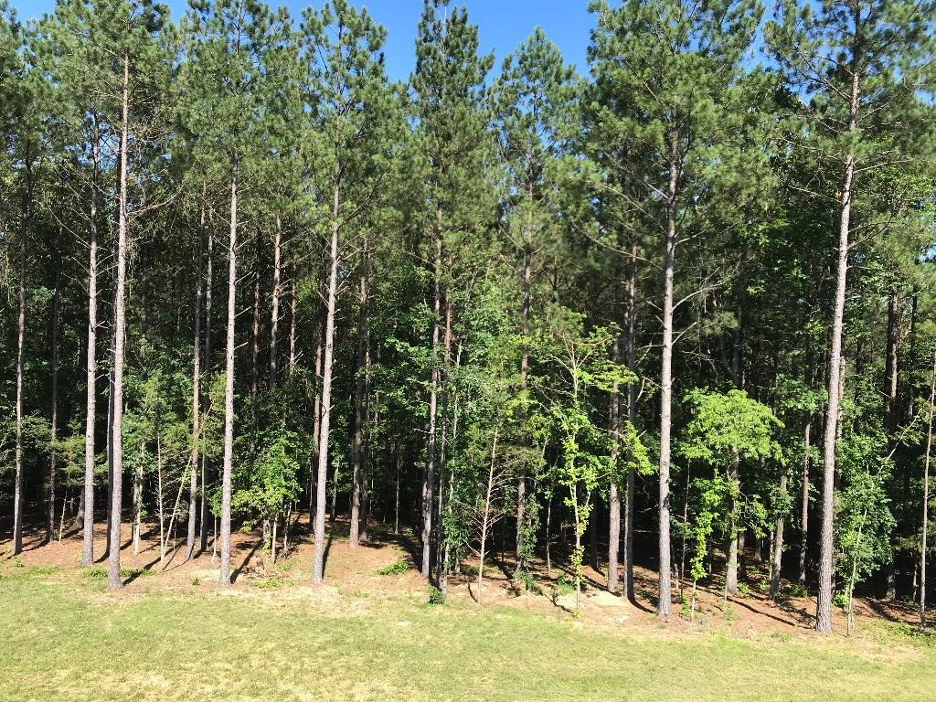 160  Slytown  Amity, AR