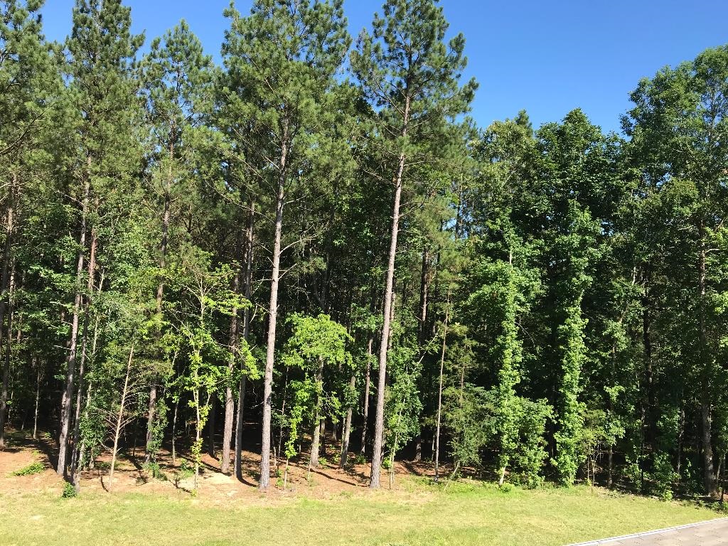 160  Slytown  Amity, AR